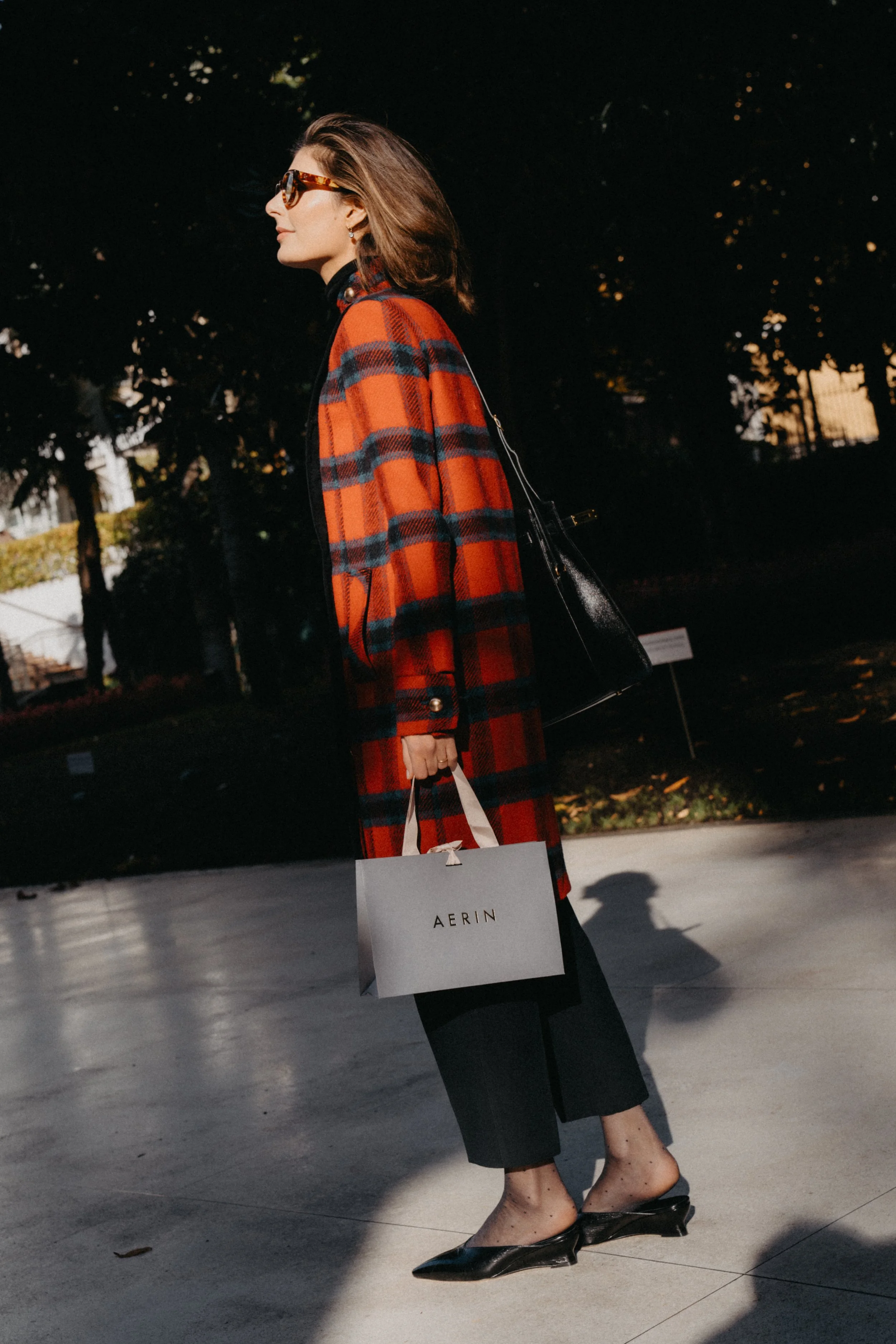 Wisteria x María de la Orden