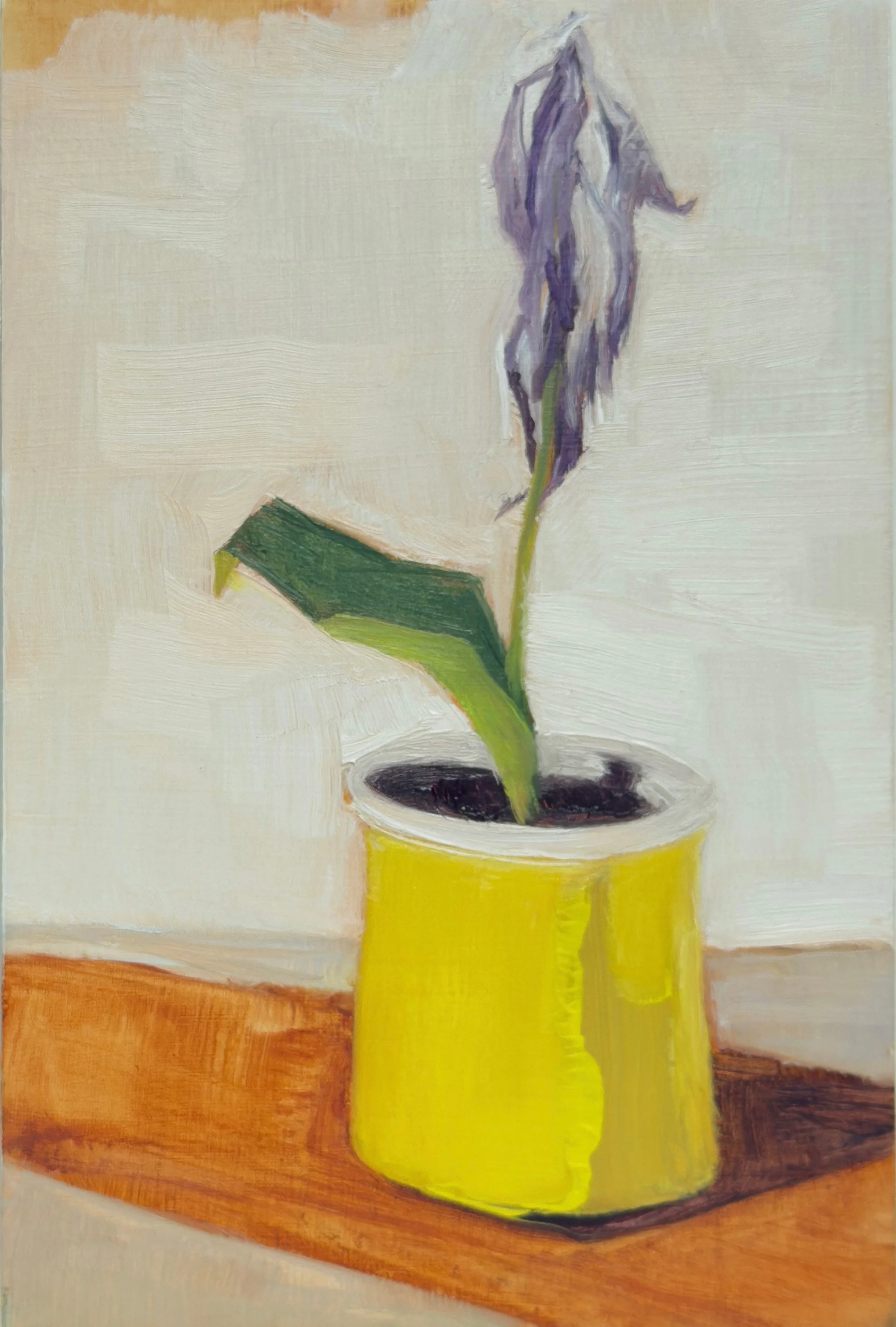 Still Life with Sad Flower copy.jpg