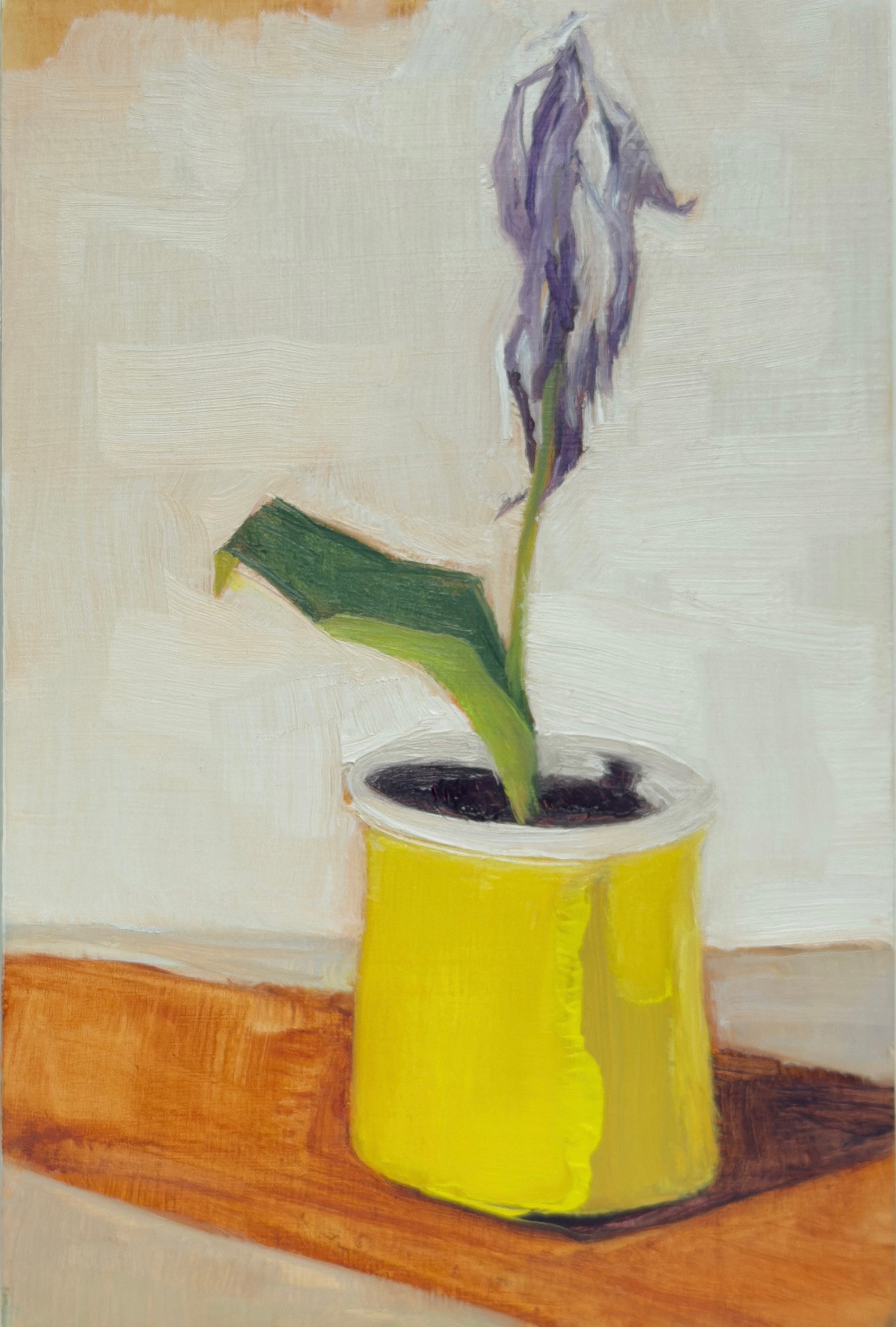 Still Life with Sad Flower copy.jpg