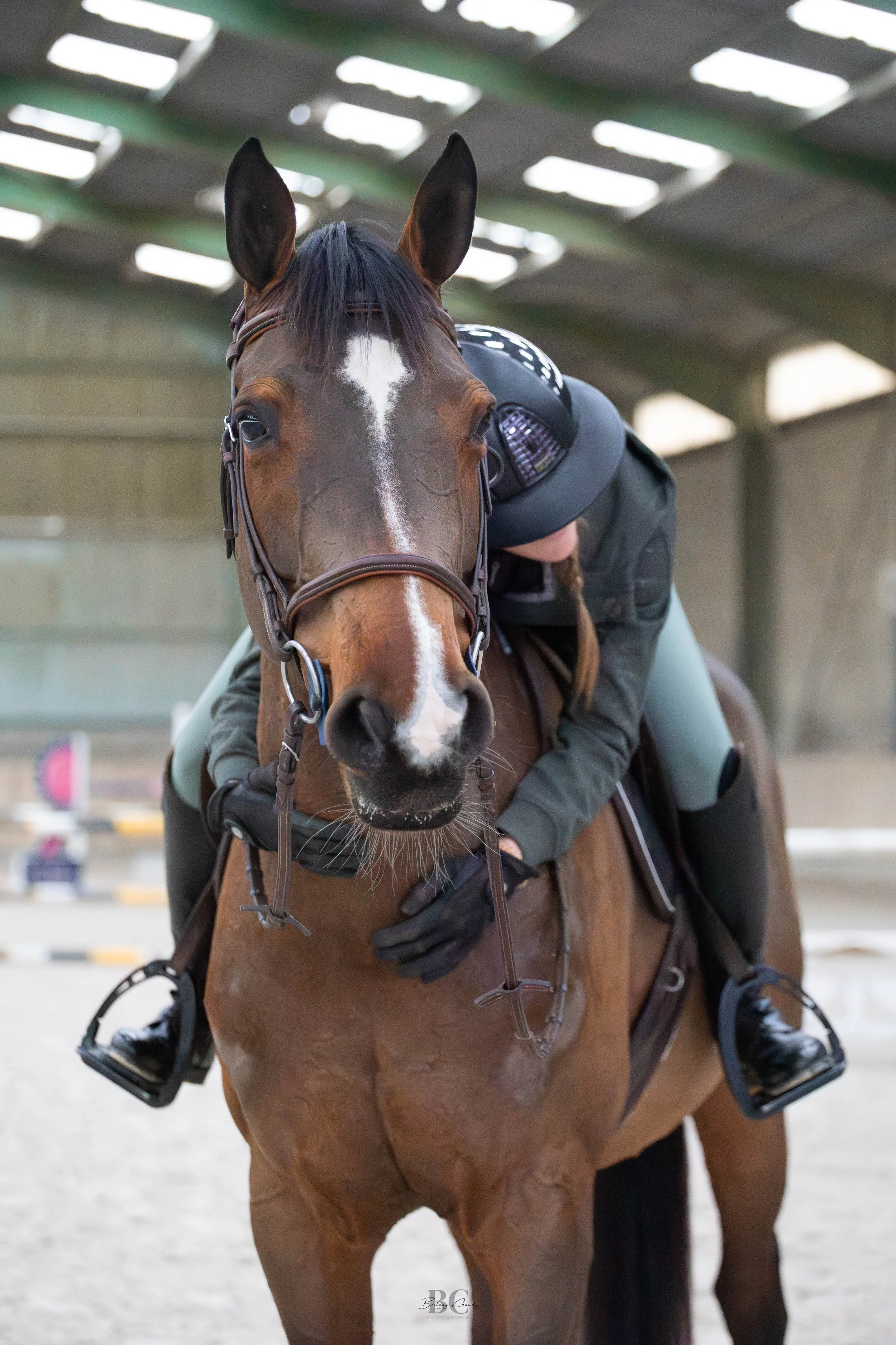 BC__0559-Avec accentuation-Bruit.jpg
