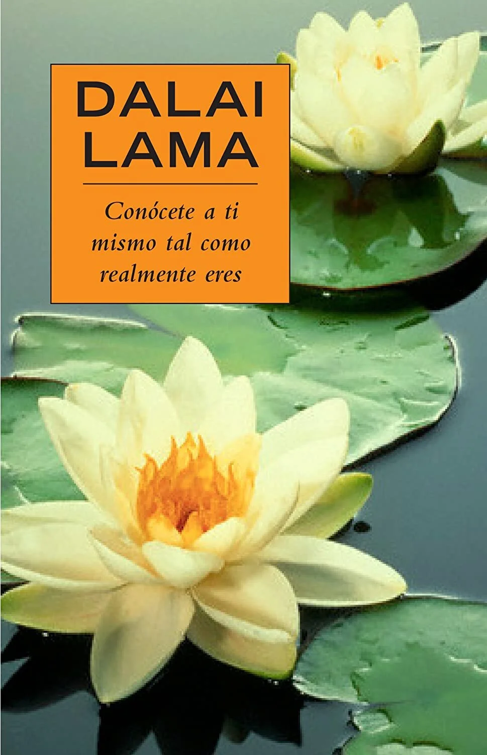 81DTwm7D24L._SL1500_.jpg