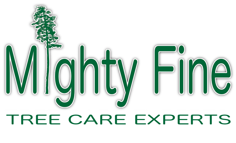 Mighty Fine Tree Care