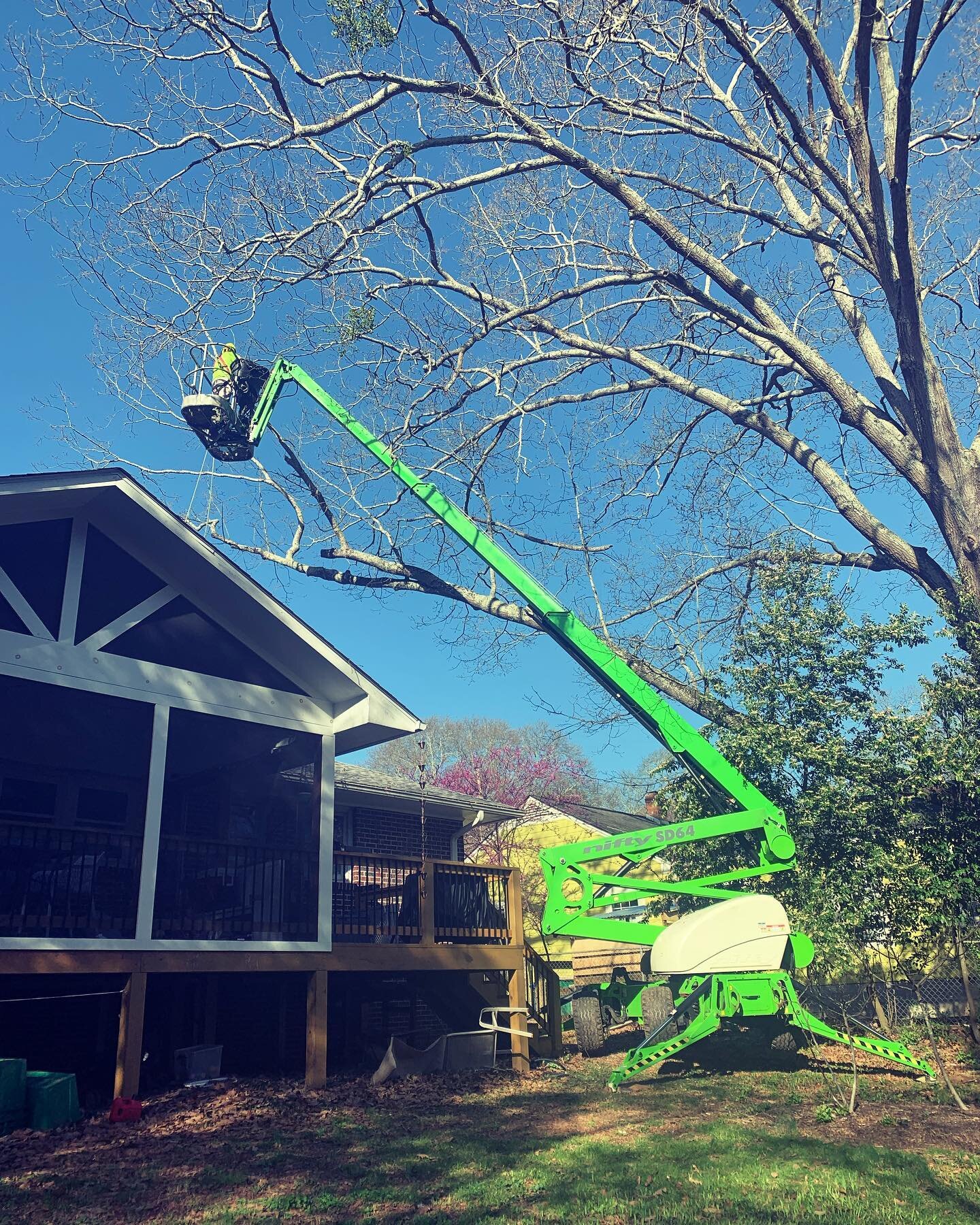 When you gotta trim those hard to reach places 😎🌳🍃 #treeguys #athensga #springbuds #expertpruning