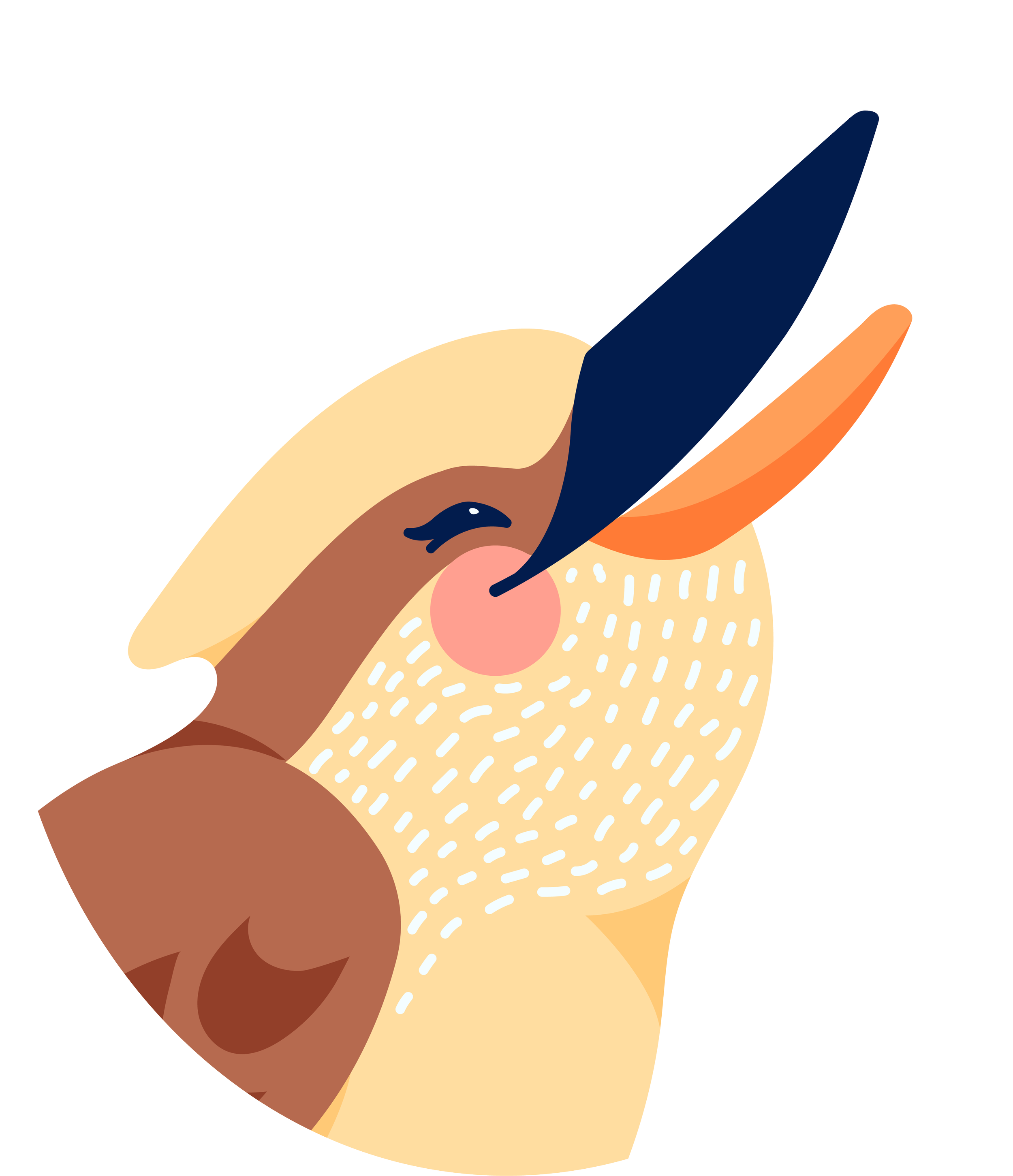 Stylized illustration of a bird's head, featuring a beak, eye, and surrounding feathers in shades of brown, beige, orange, and black.