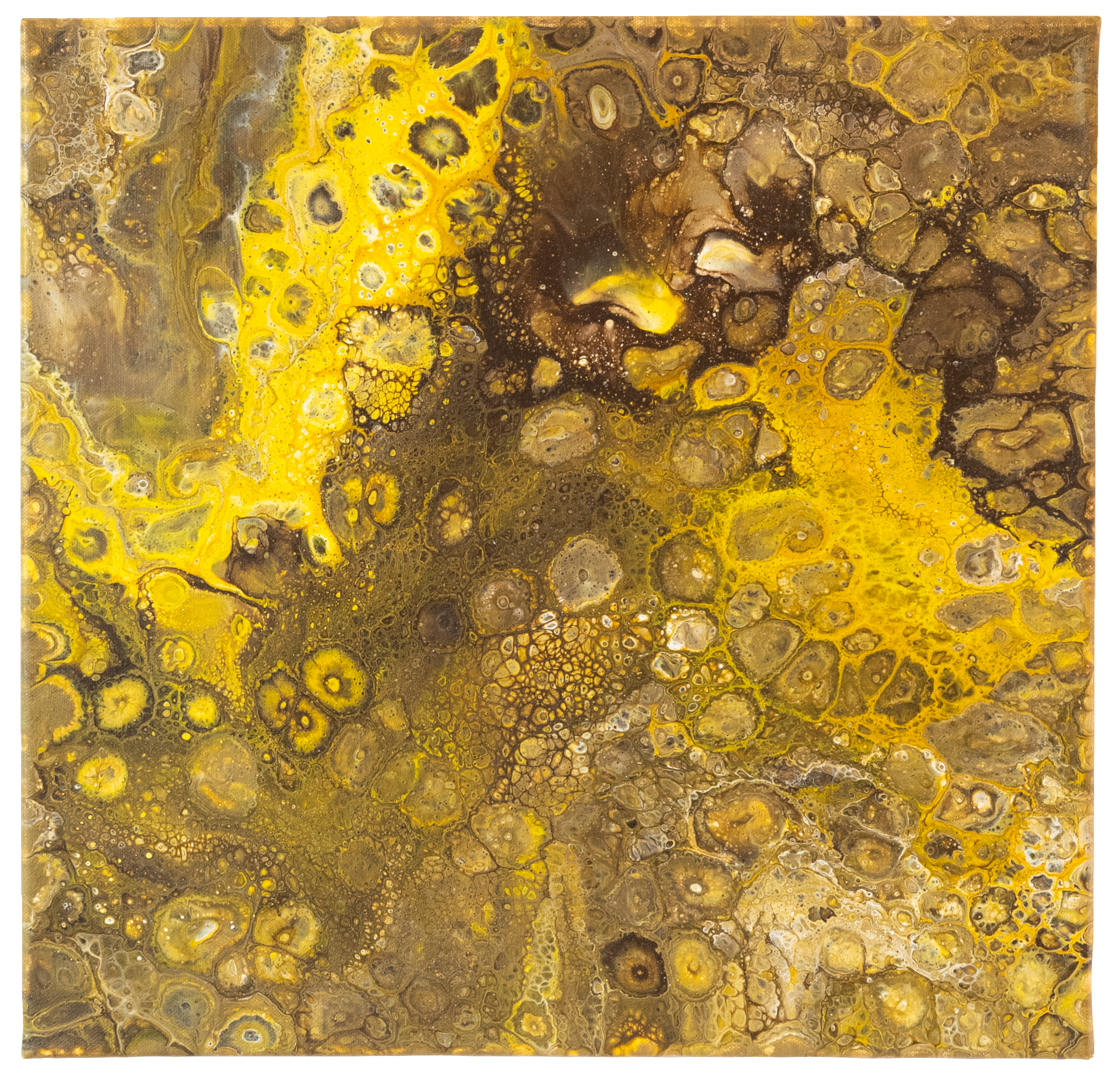 Memories of Ouroboros1.png