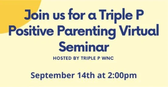 Positive Parenting Virtual Seminar