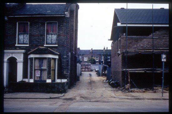 1981.jpeg