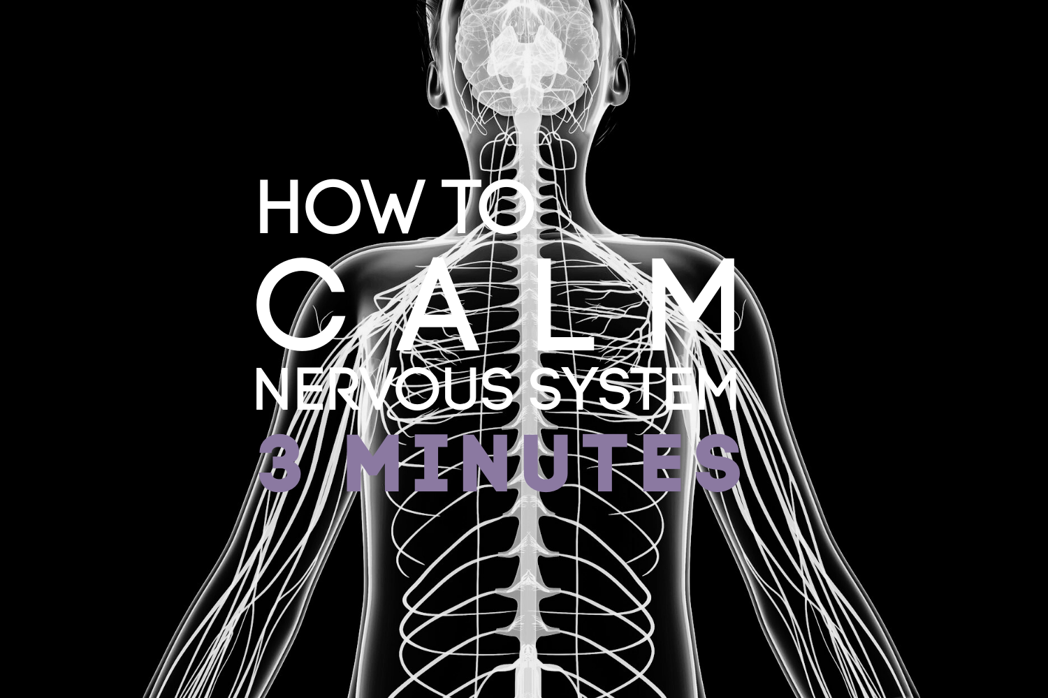 How to Calm Your Nervous System in 3 Minutes: Burnout Recovery First Aid for High-Functioning Midlife Women