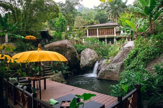 serendipity-holistic (1).jpg