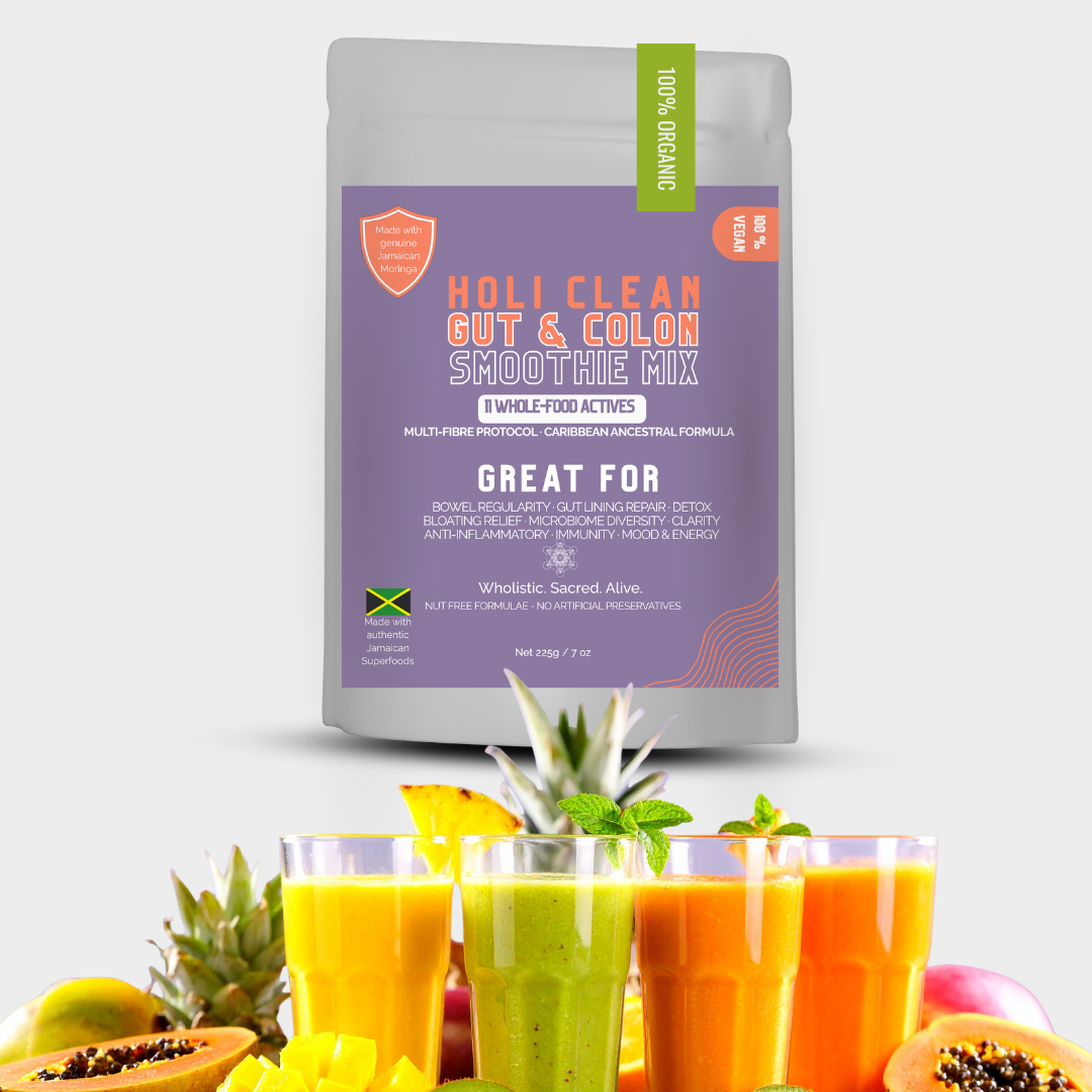 HOLI CLEAN - VITAL GUT BLEND - 500g
