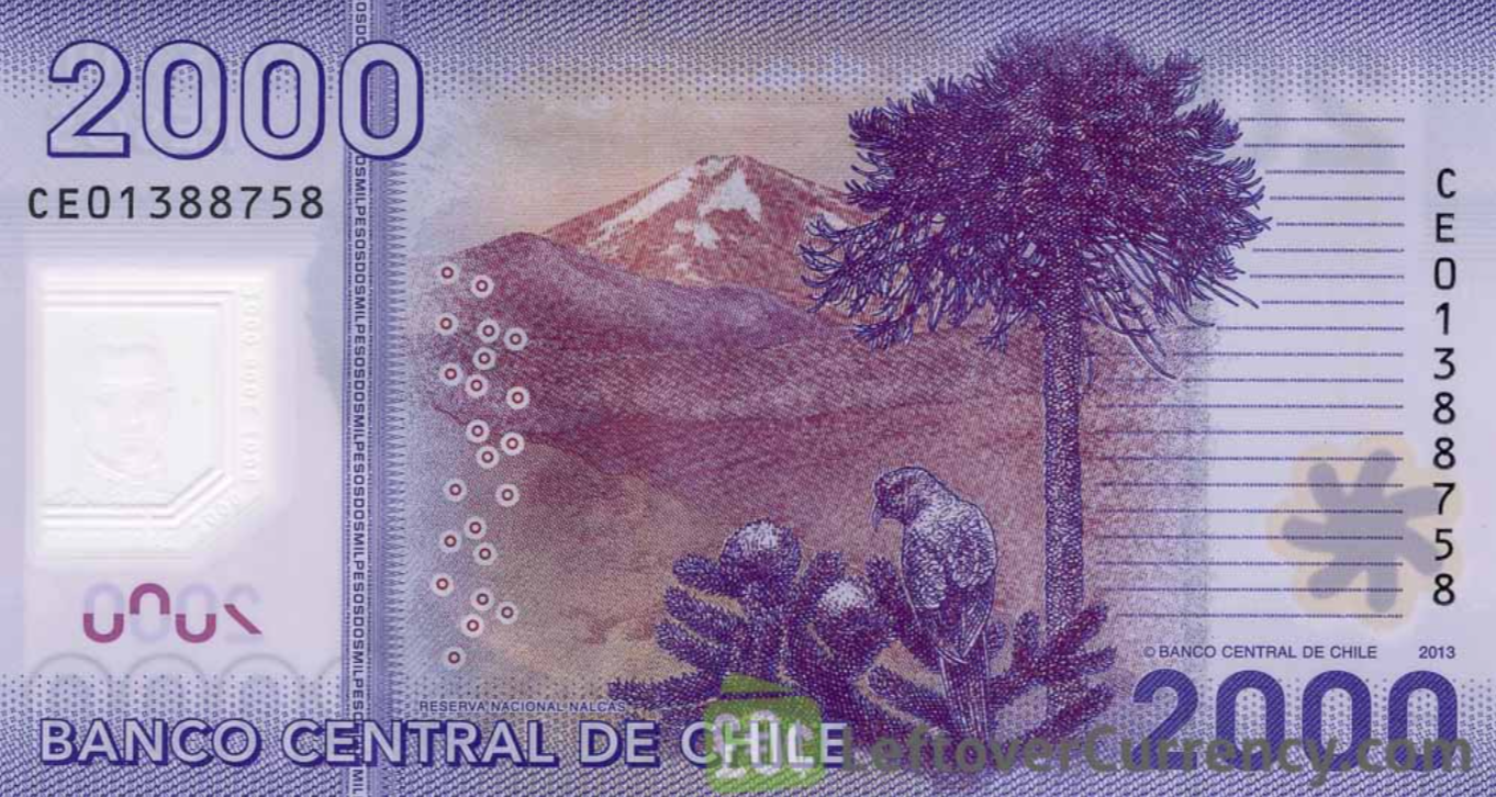 2000_Chilean_Pesos_banknote_back.ManuelRodriguez.Magnoliaonthemove.png