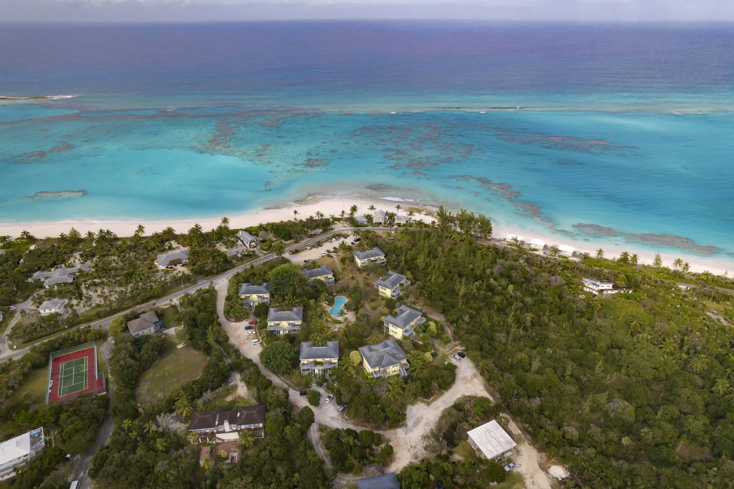 PIneapple Fields_096.jpg