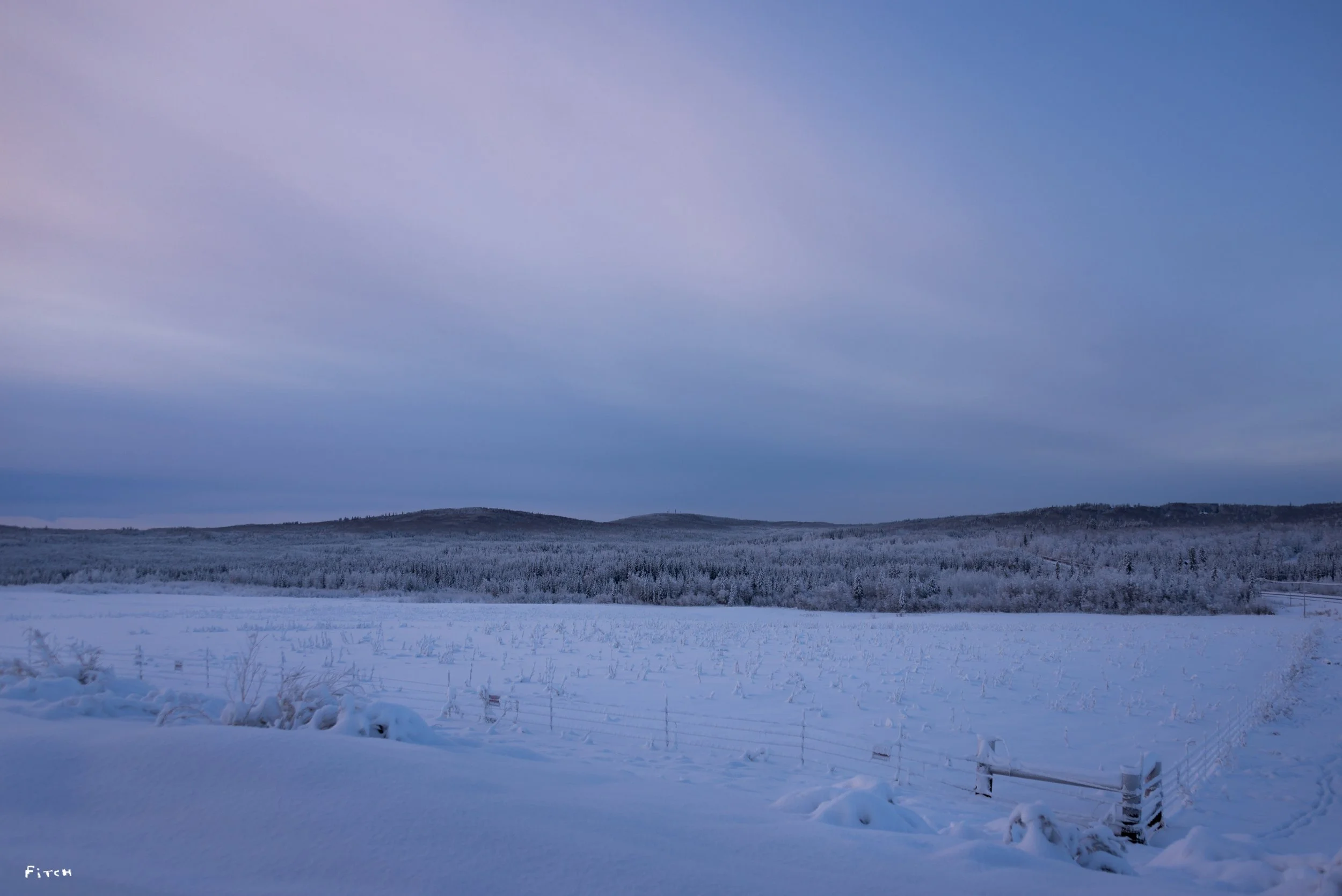 DSC_3427.jpg