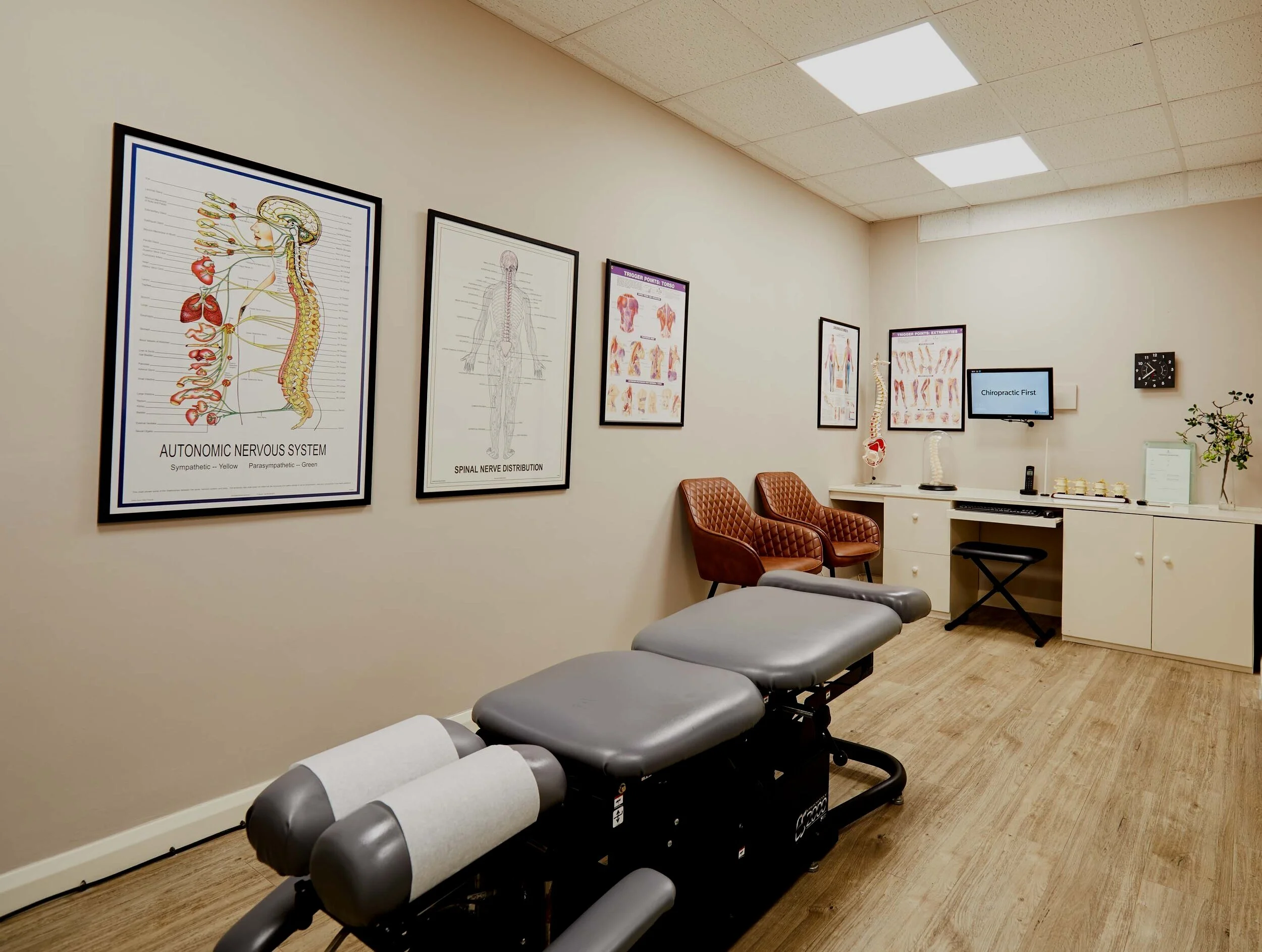 ChiropracticFirst_31.5.20_01.jpg