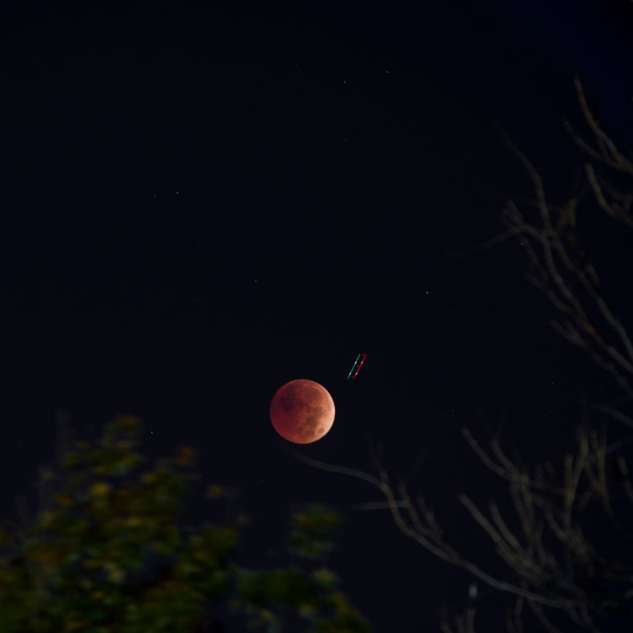BloodMoonEclipse_AGP_2.jpeg
