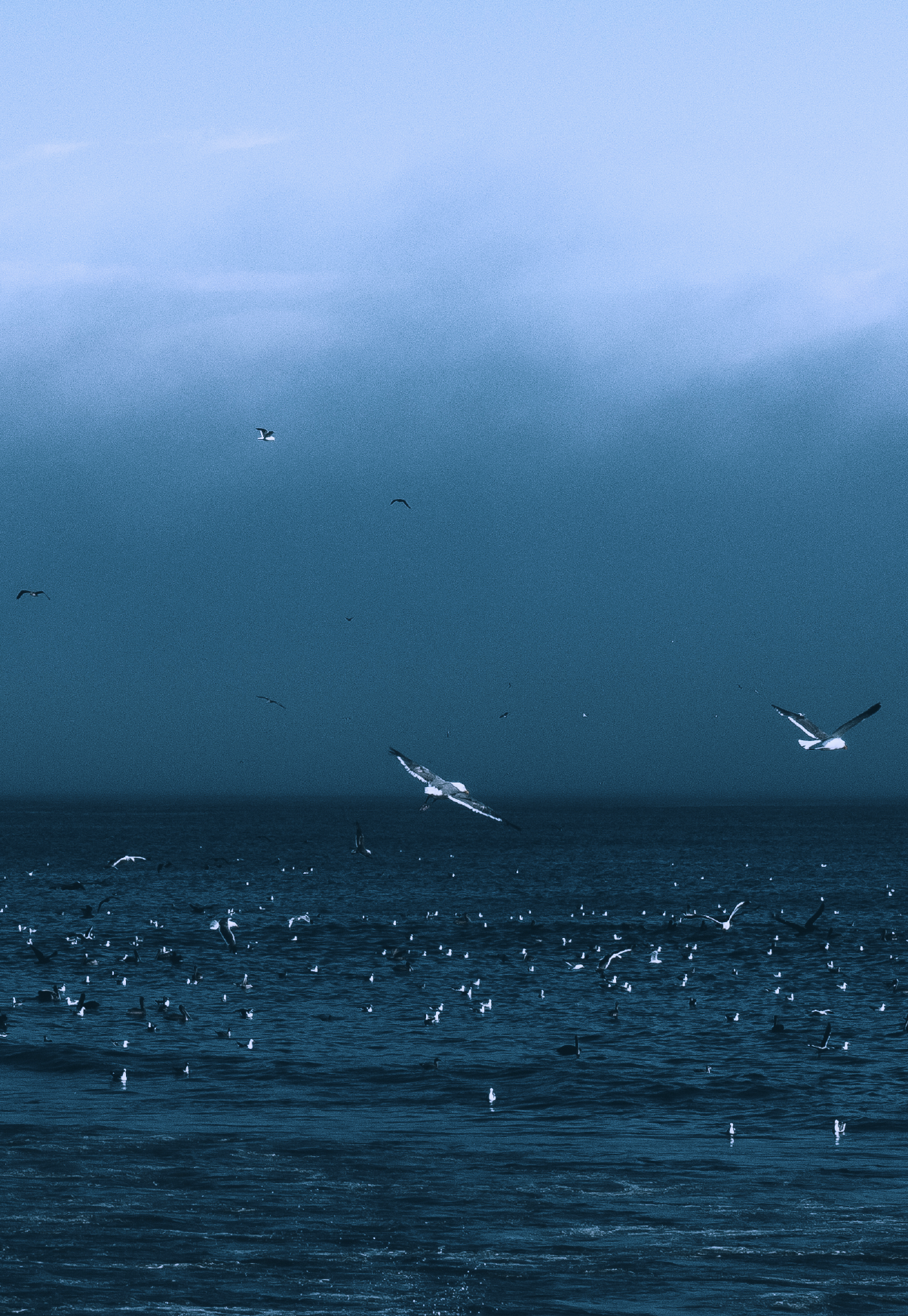 design-interiorismo-interiorism-art-design-photography-home-house-art-Marbella-diseño-diseño de interior-diseño de interiorismo-diseño-fotógrafo profesional de interiorismo-arquitectura de interiores-Málaga-Marbella-fotógrafo Málaga-fotógrafo de inte