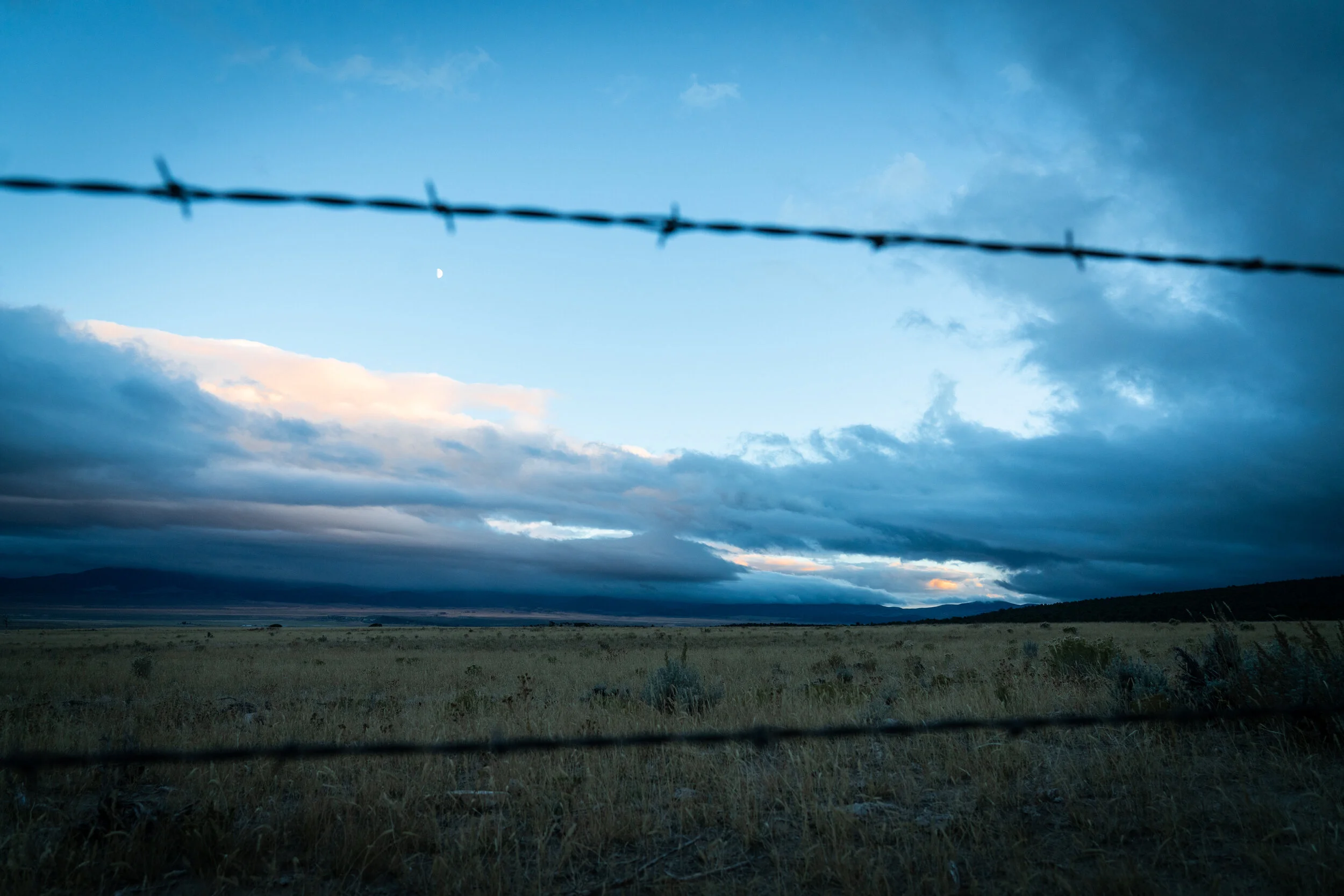 untitled (14 of 46).jpg