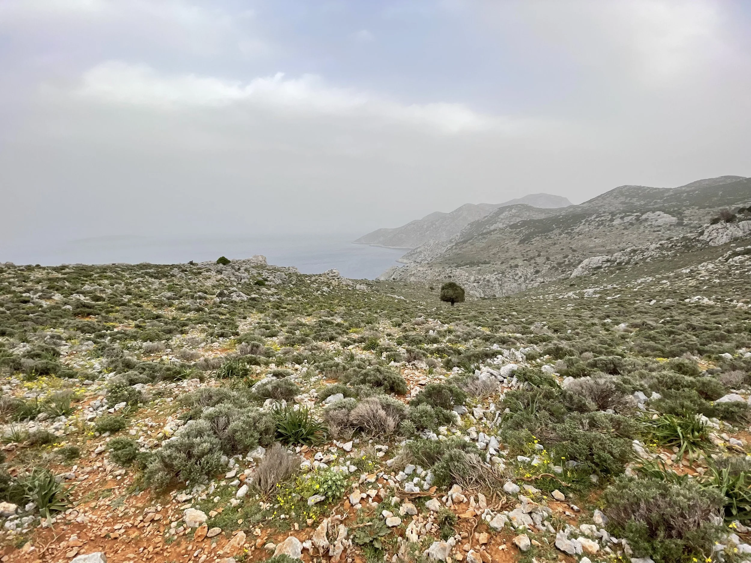 Looking south towards Pezonda Bay, which is tucked behind the furthest visible ridgeline.