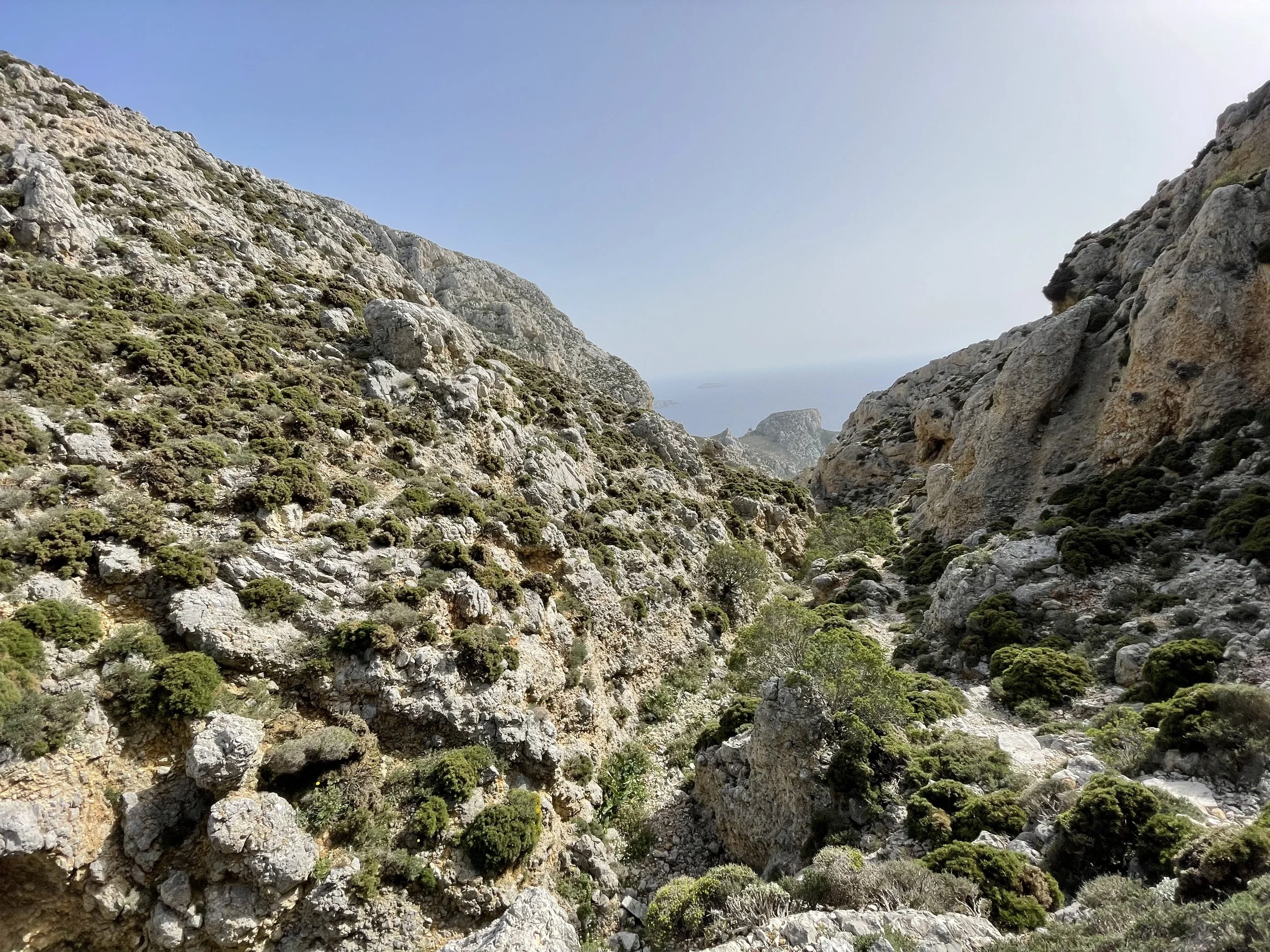 The view from inside the ravine.