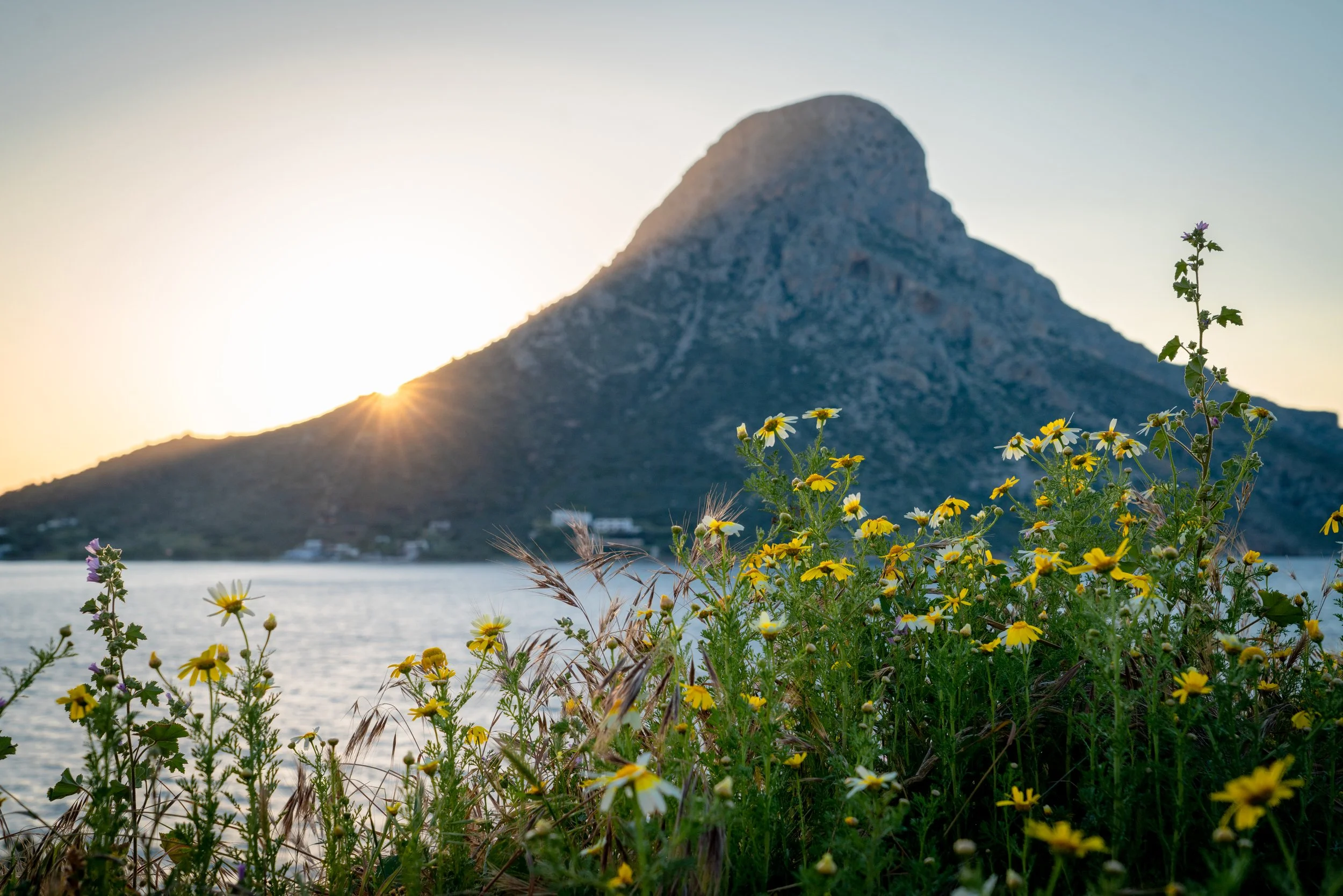 untitled (86 of 147).jpg