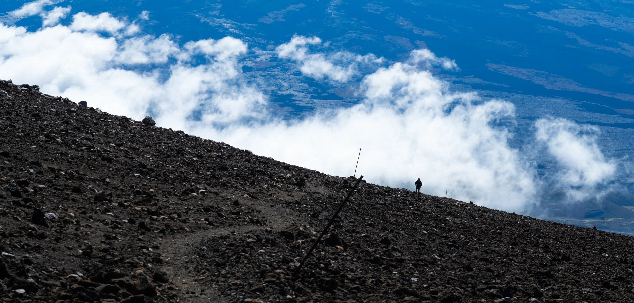 untitled (319 of 1423).jpg