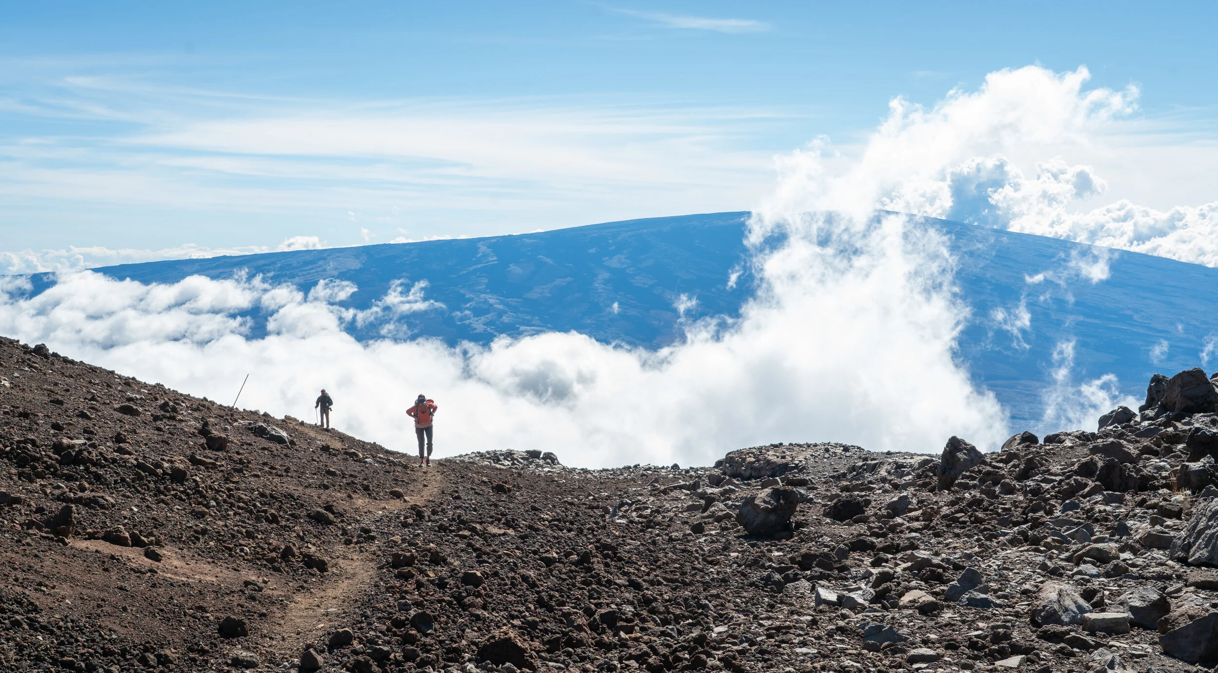 untitled (513 of 1423).jpg