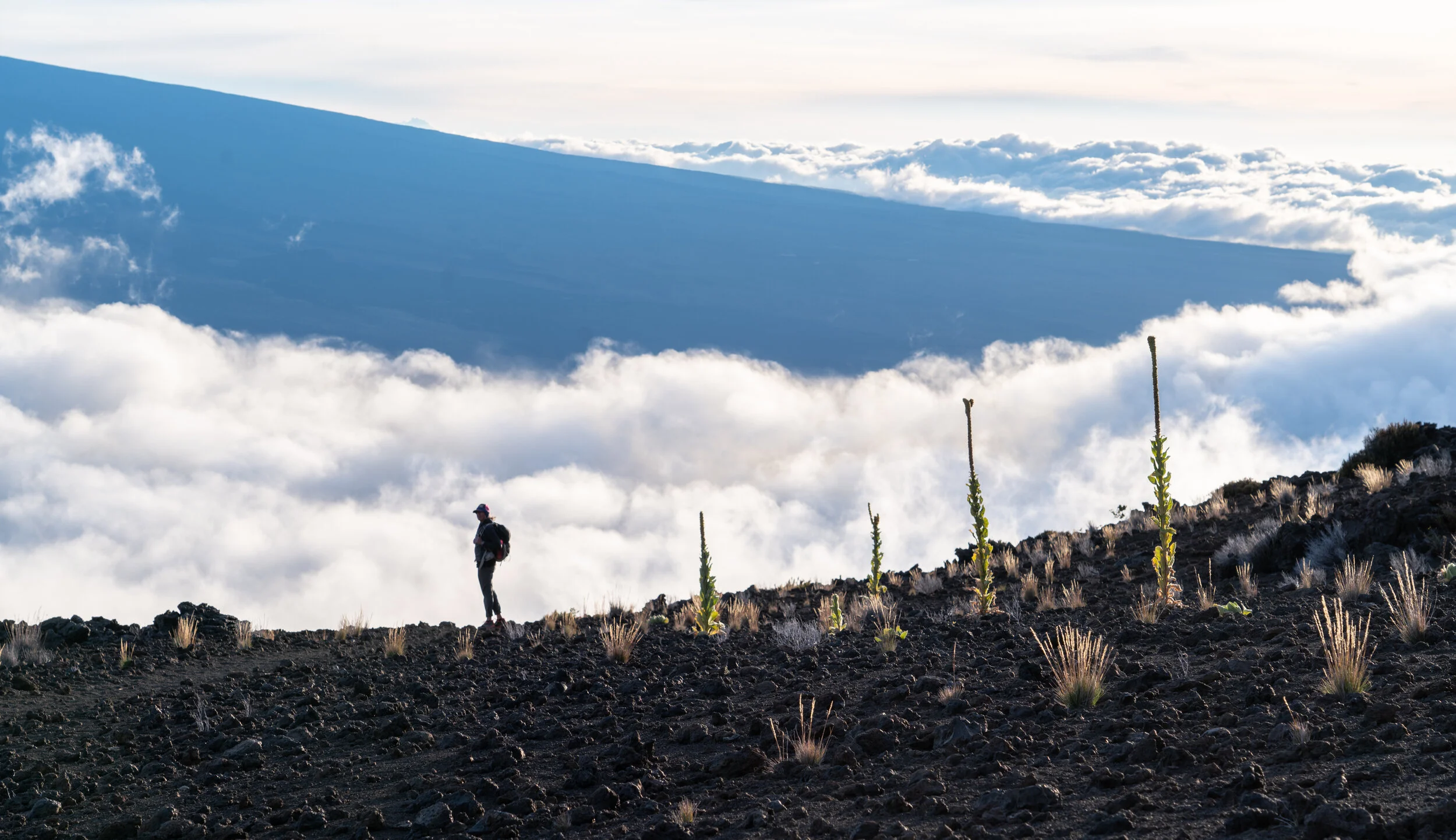 untitled (1034 of 1423).jpg