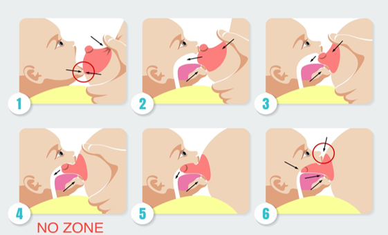 Correct Positioning And Latch 10 Essential Breastfeeding Positions For