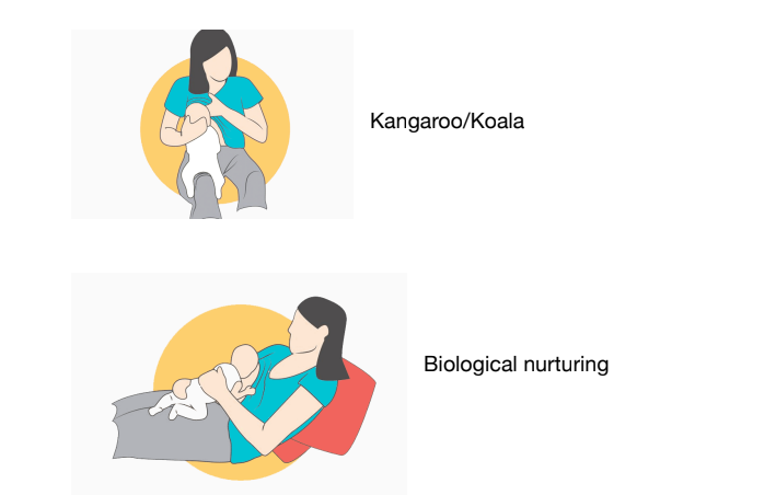 Oversupply of Breast Milk — Leva