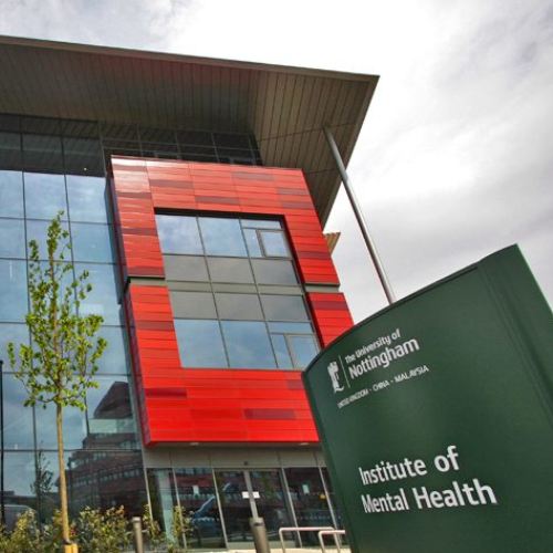 The Peer Research Academy: Exploring What Happens When Research Is Led by People with Lived Experience