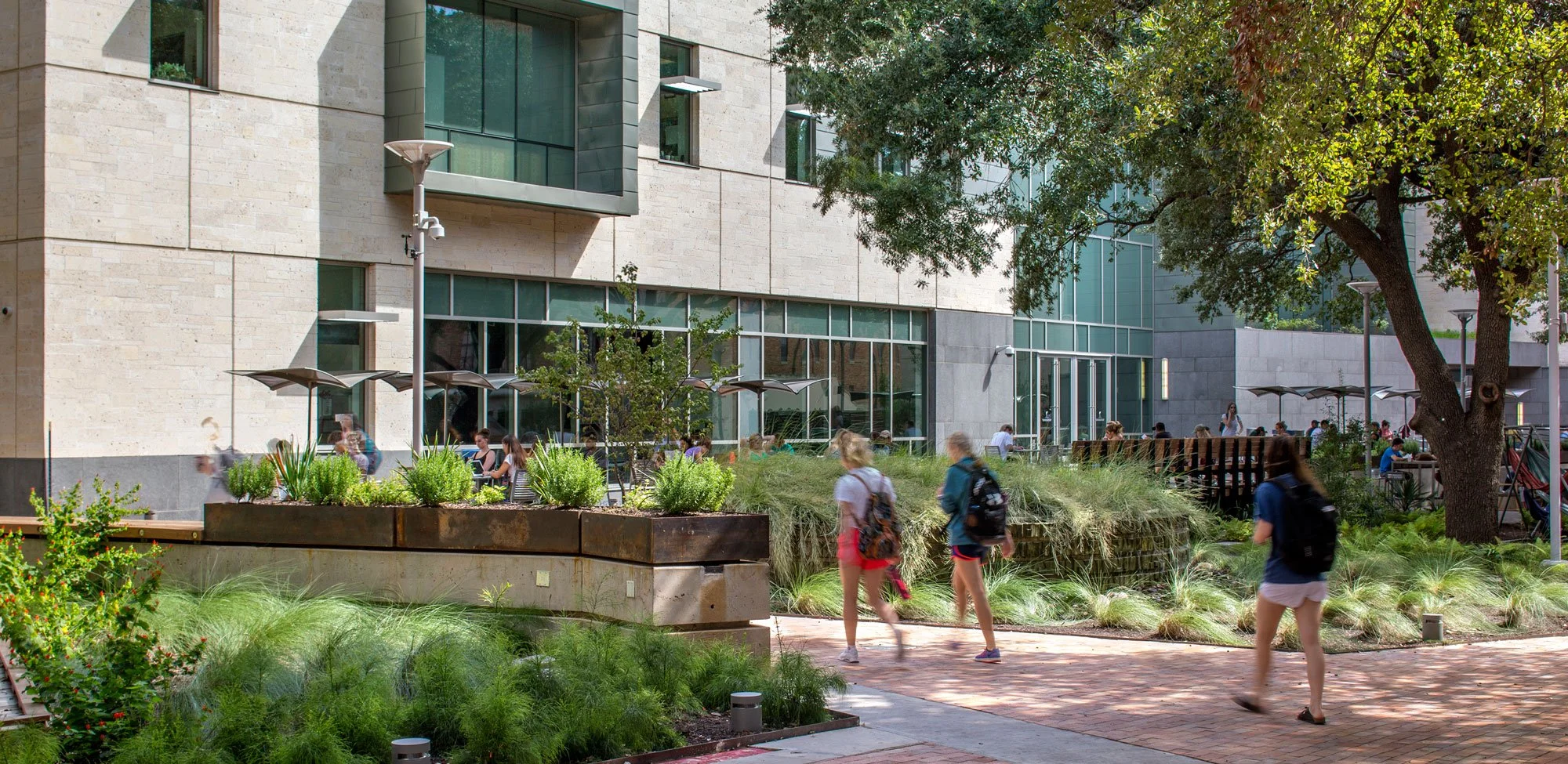 ut-sac-banner.jpg