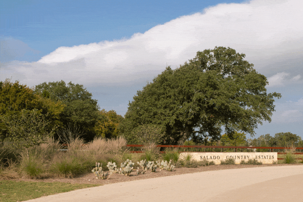 DSC_0379-975x650.gif
