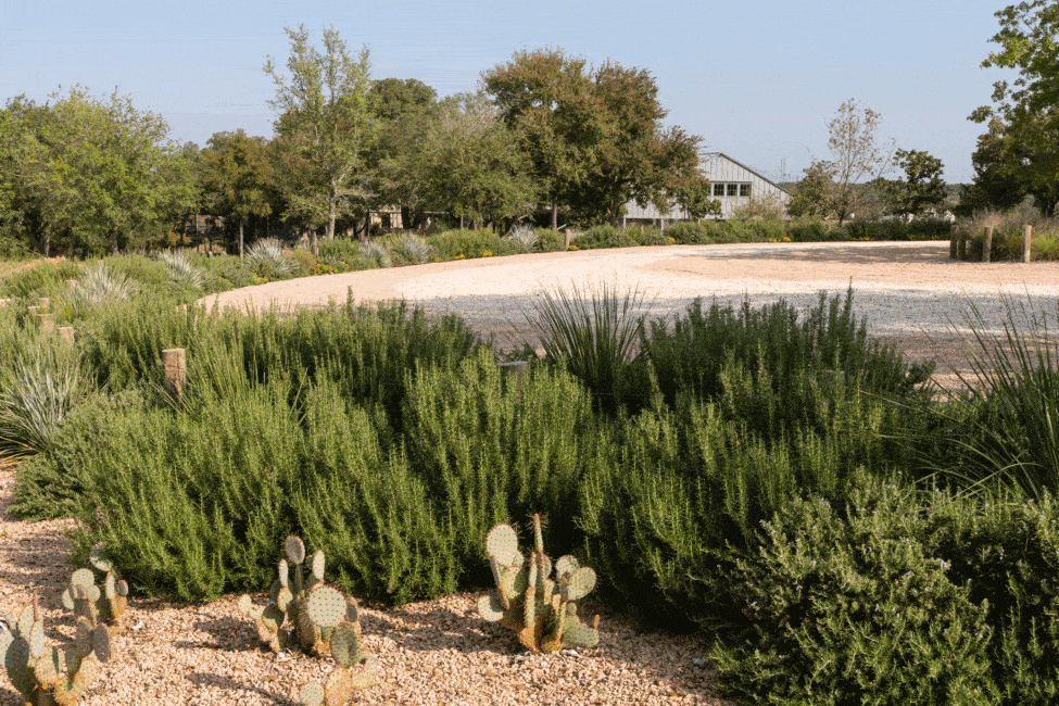DSC_0410-975x650.gif