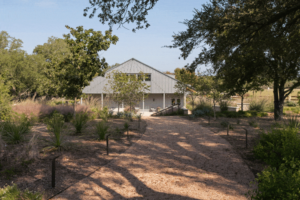 DSC_0415-975x650.gif
