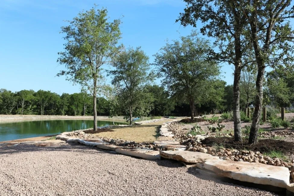 Pond-975x650.jpg