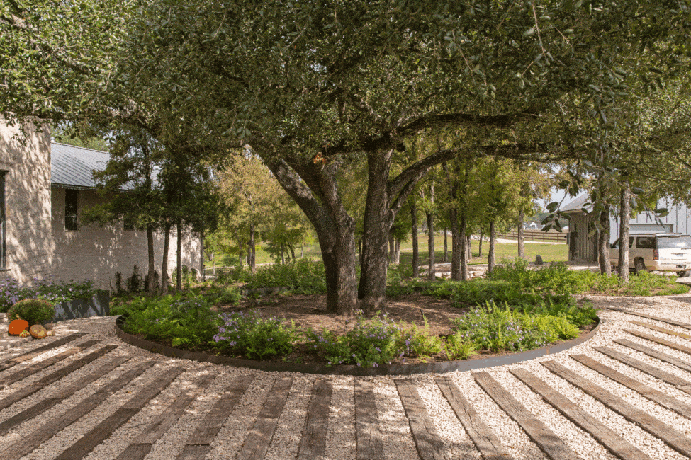 Salado Ranch