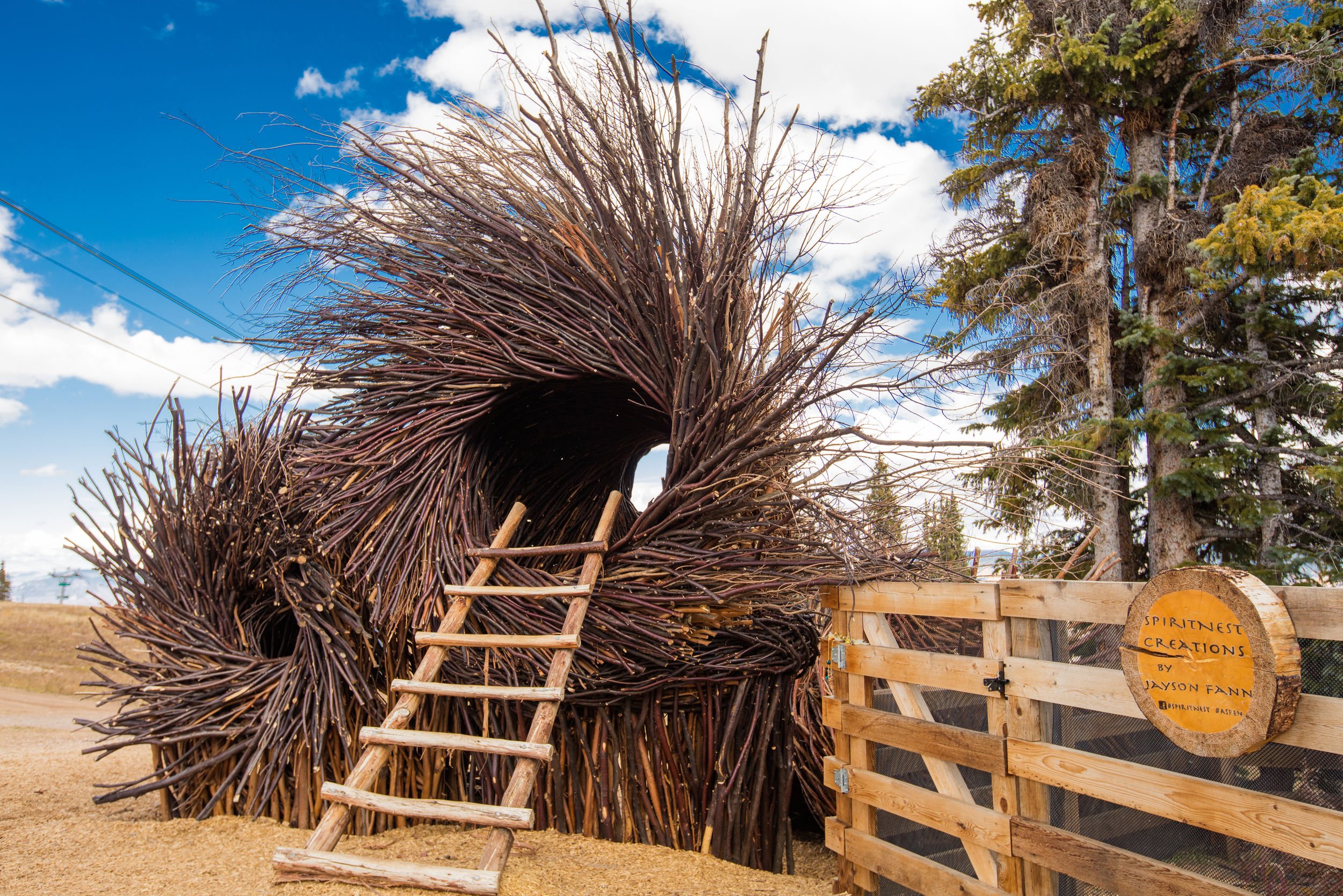 Aspen Mountain Summer Enhancements Plan