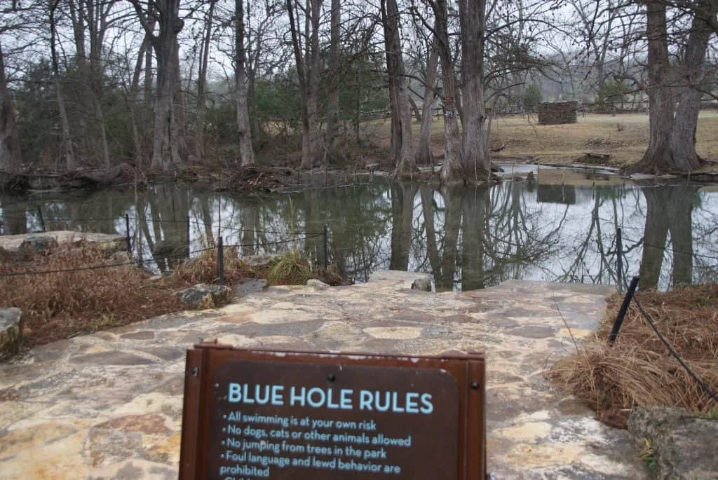 blue-hole-regional-park-swimming-wimberley-1024x685.jpg