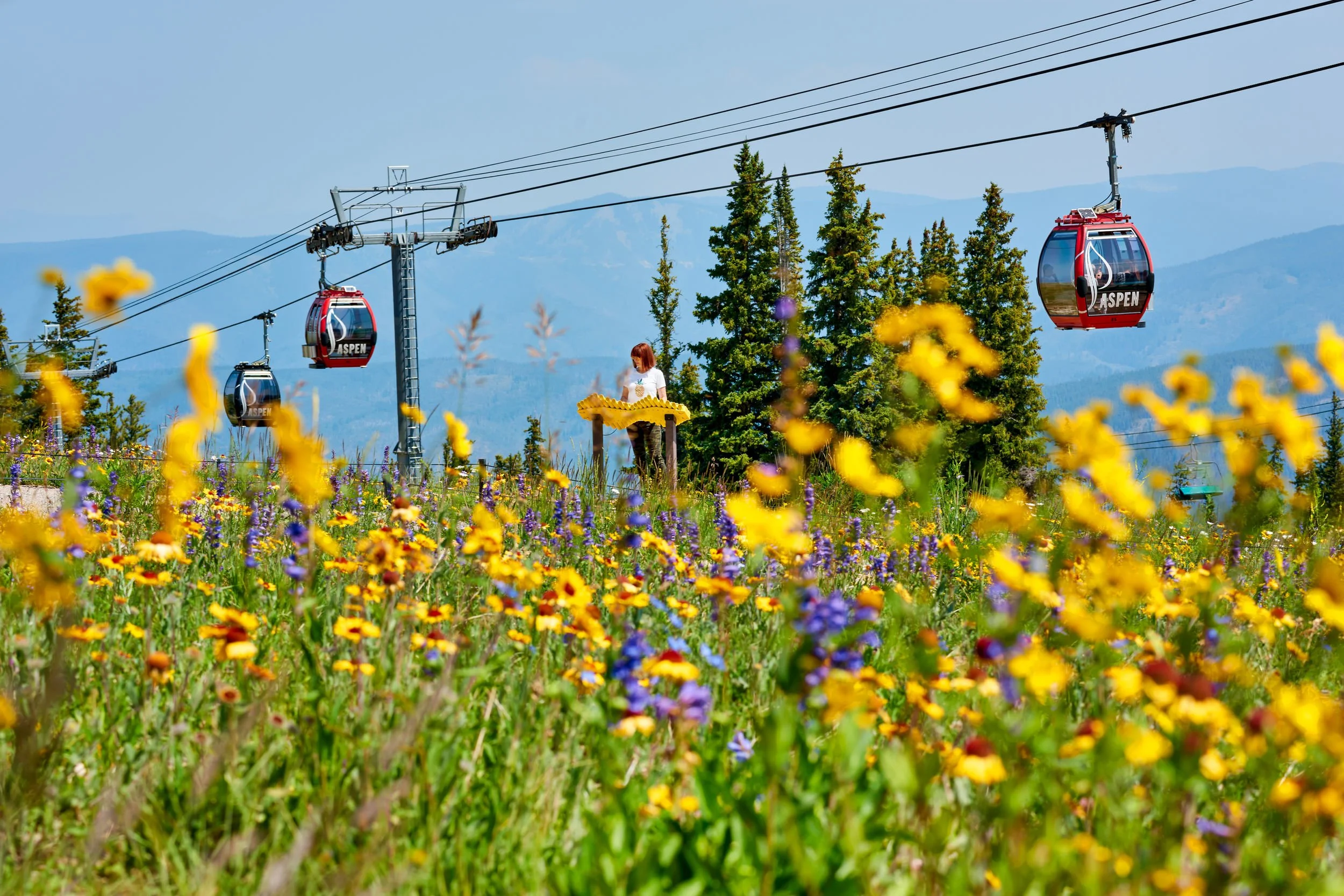 Aspen Mountain Summer Enhancements Plan