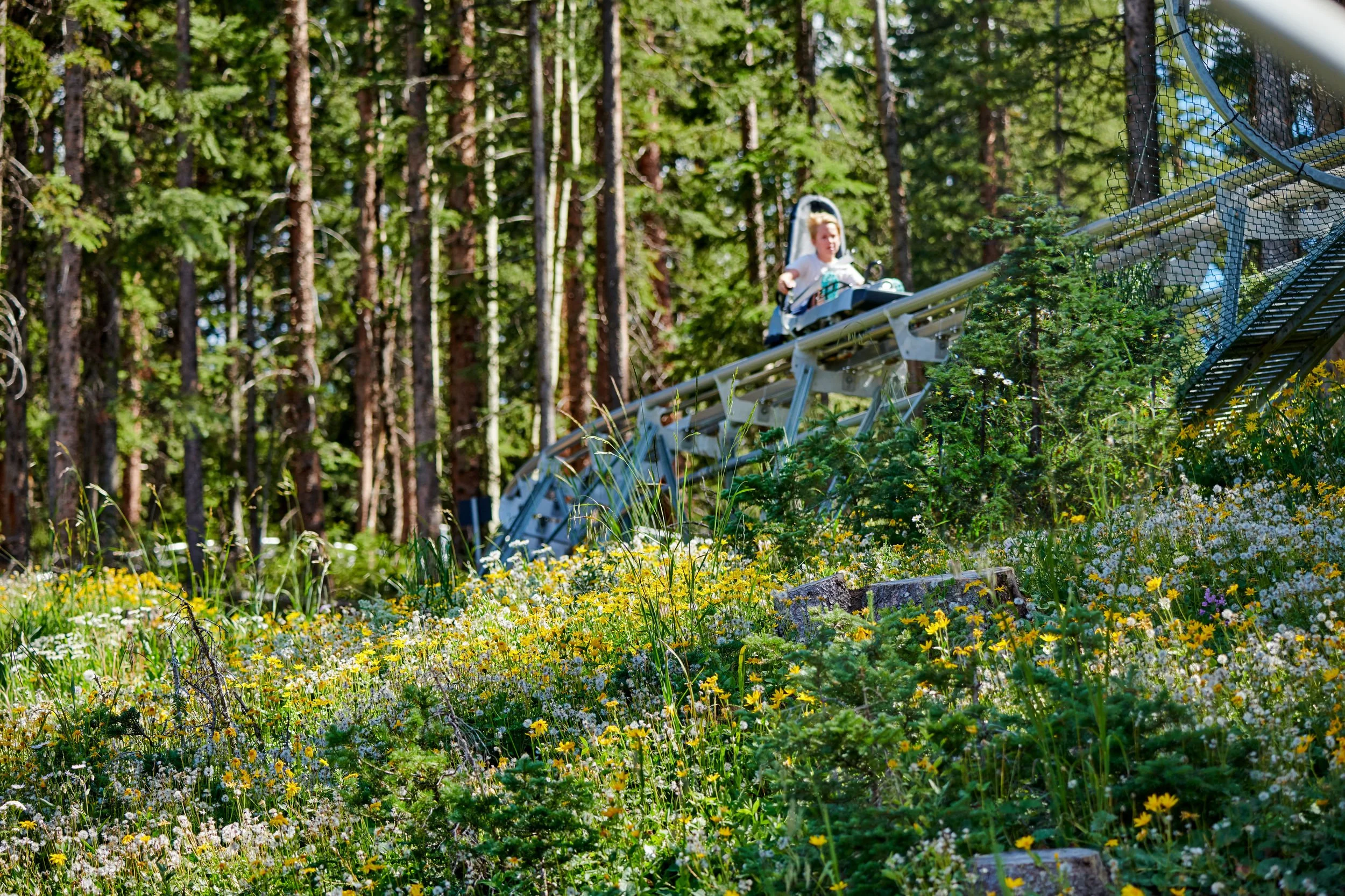 ElkCamp_15.jpg