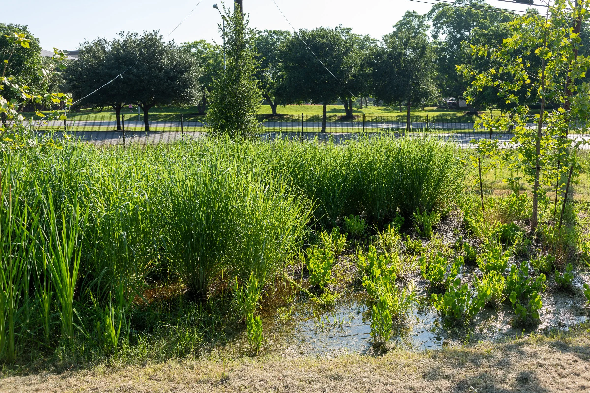 DSC_2449.jpg