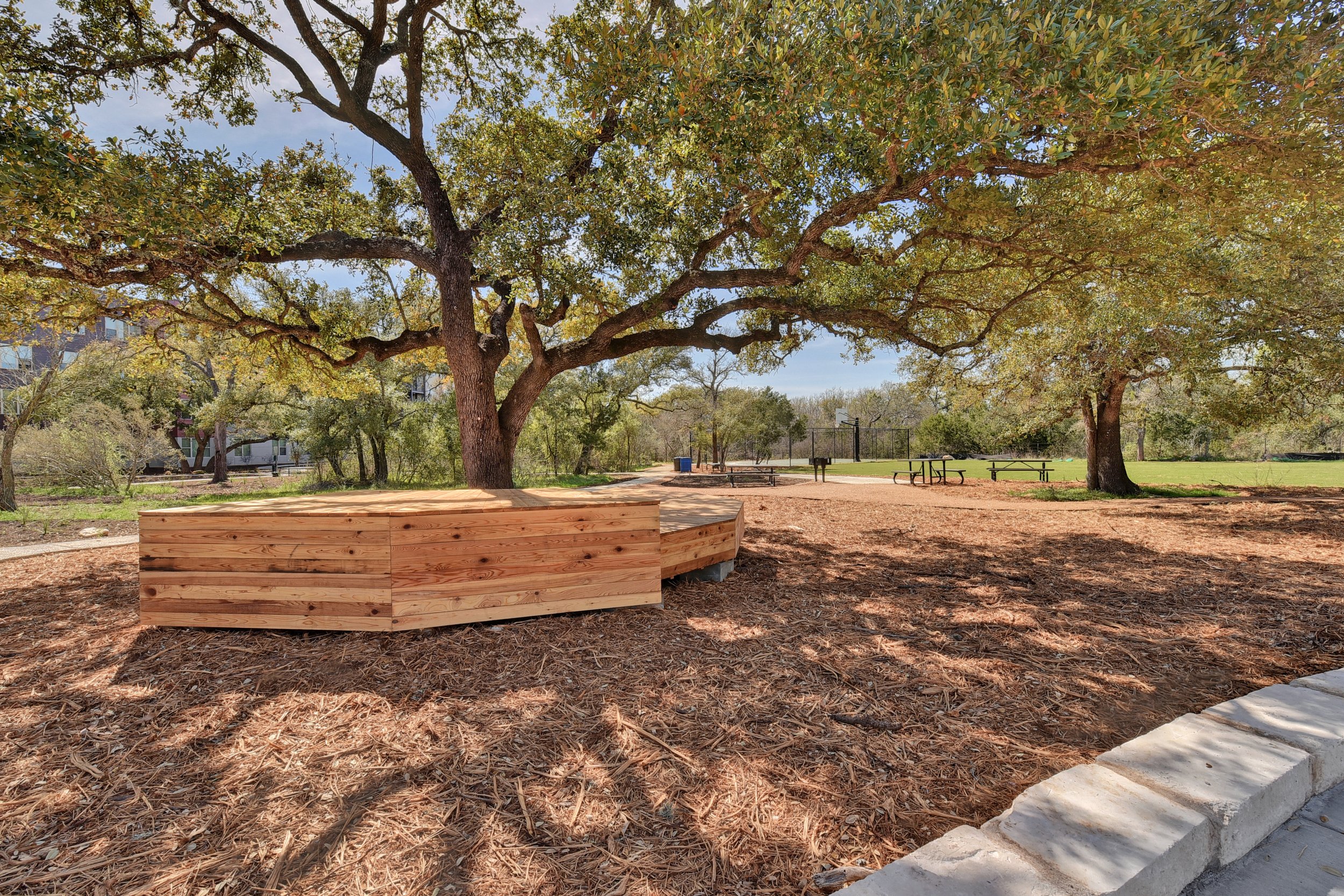 3226 W Slaughter Ln-print-015-6-Homestead Exterior Amenities-4200x2800-300dpi.jpg