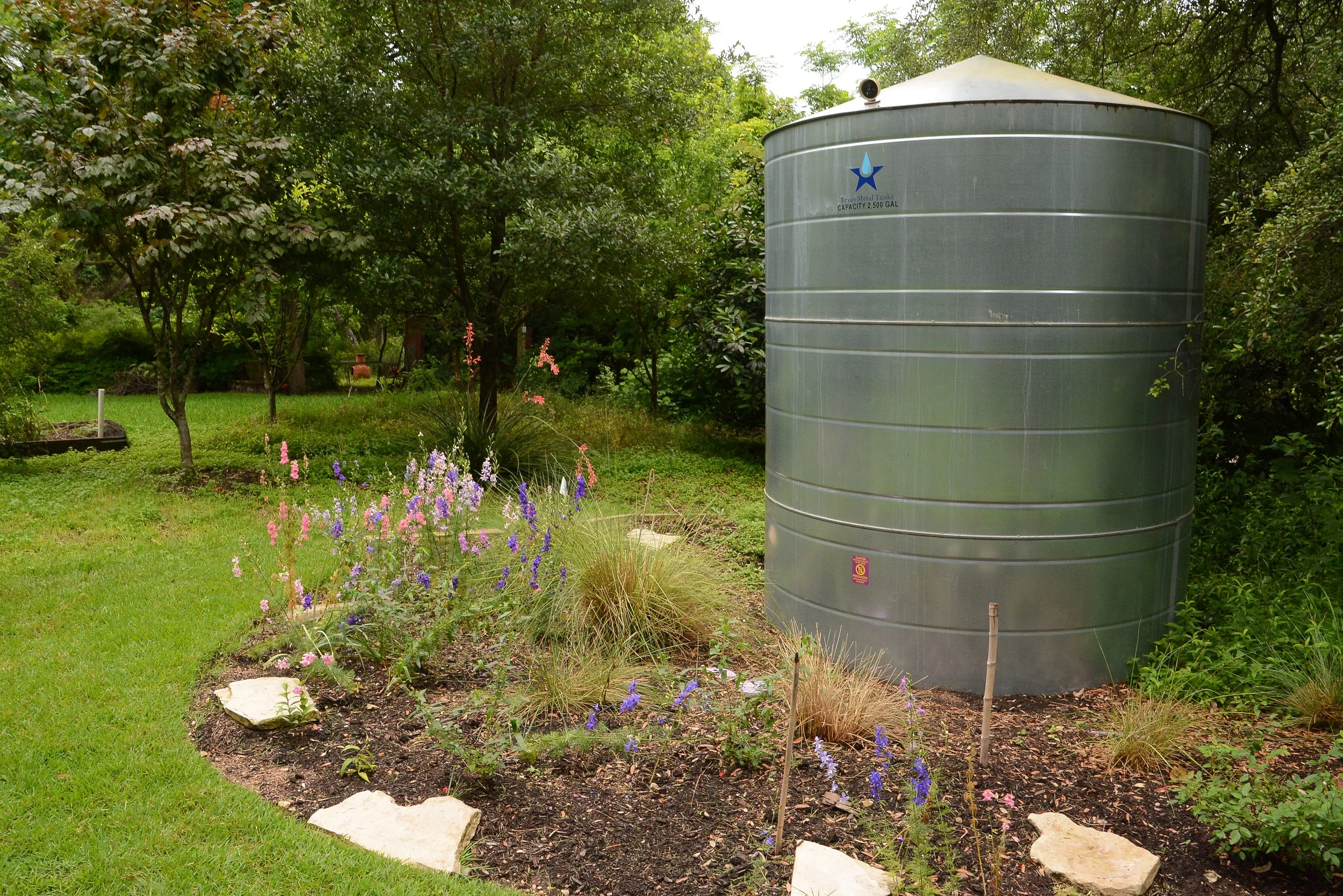 cistern rain collection red yucca.JPG