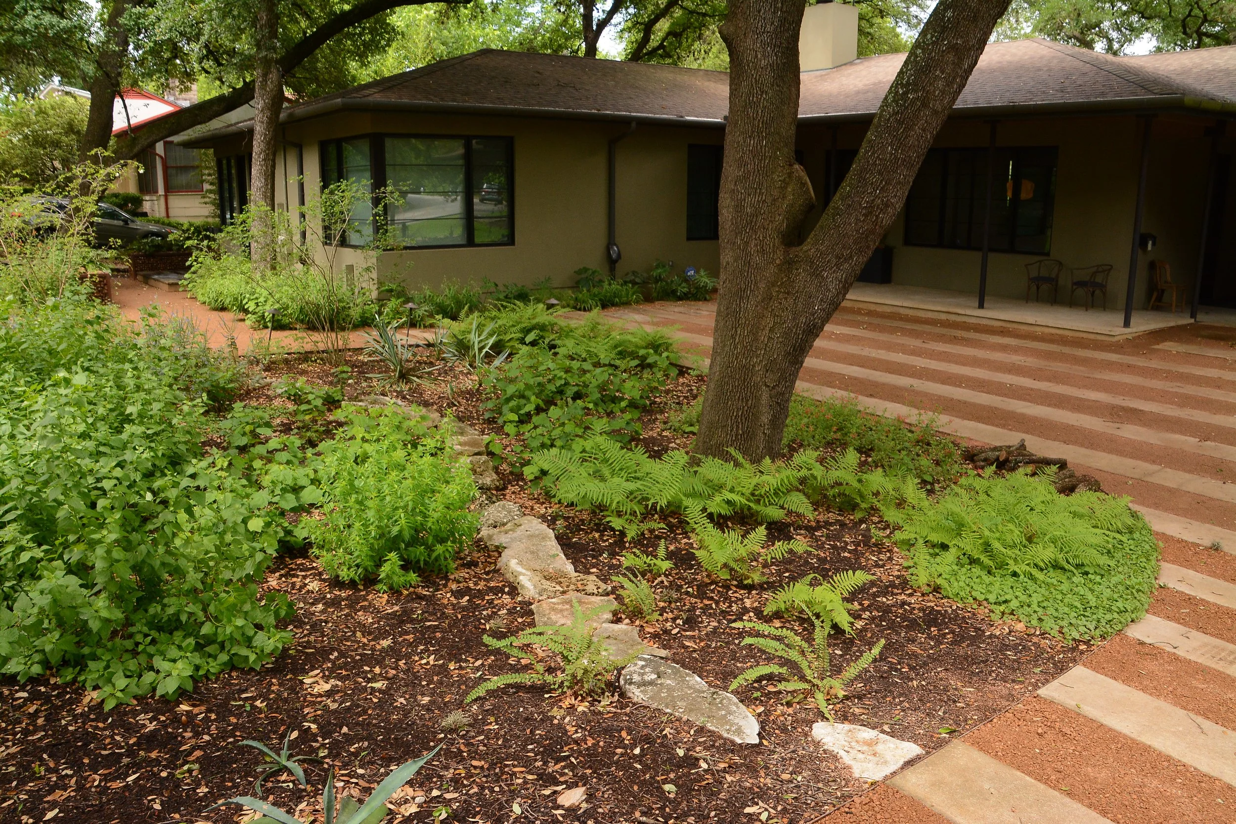 curb plants wide.JPG