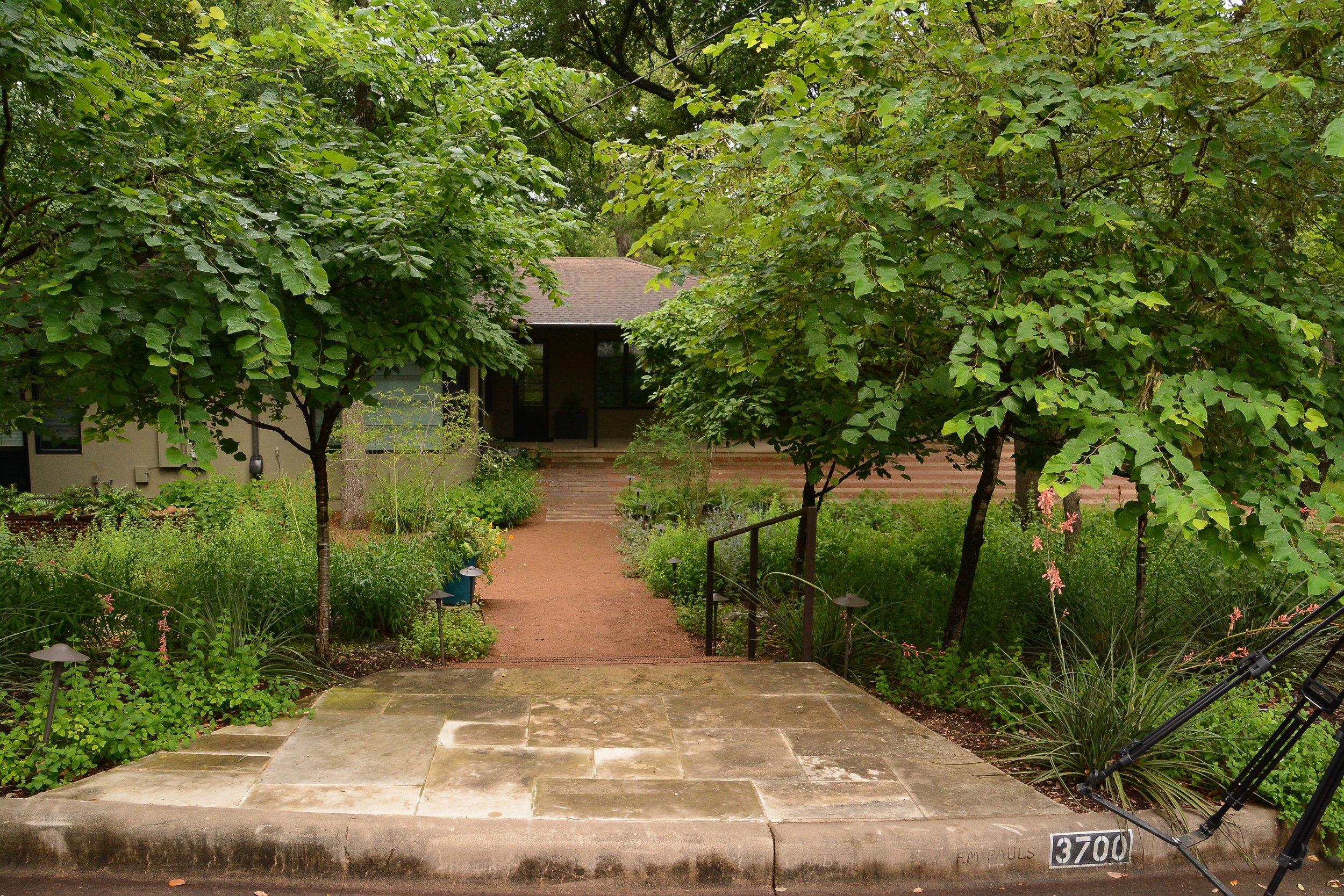 curb steps down to house.JPG