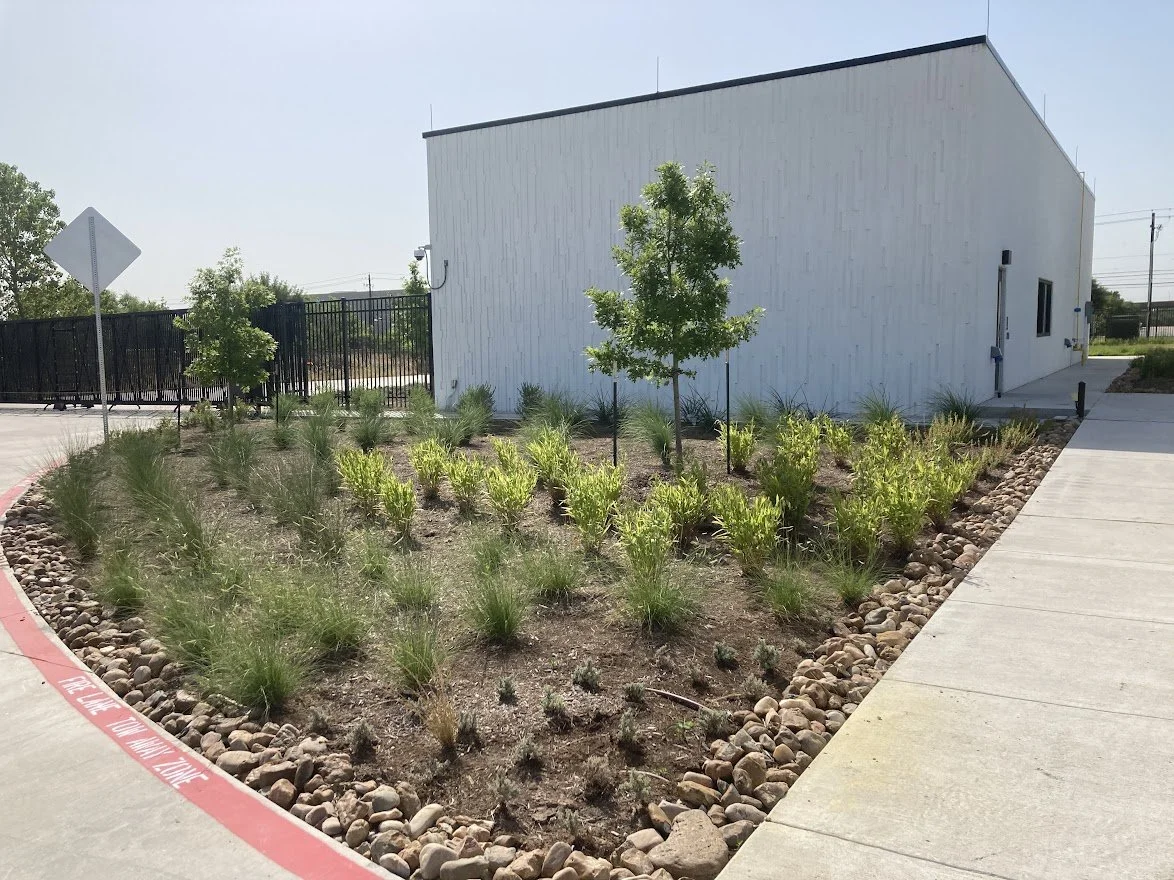 marshalling yard planting.JPG
