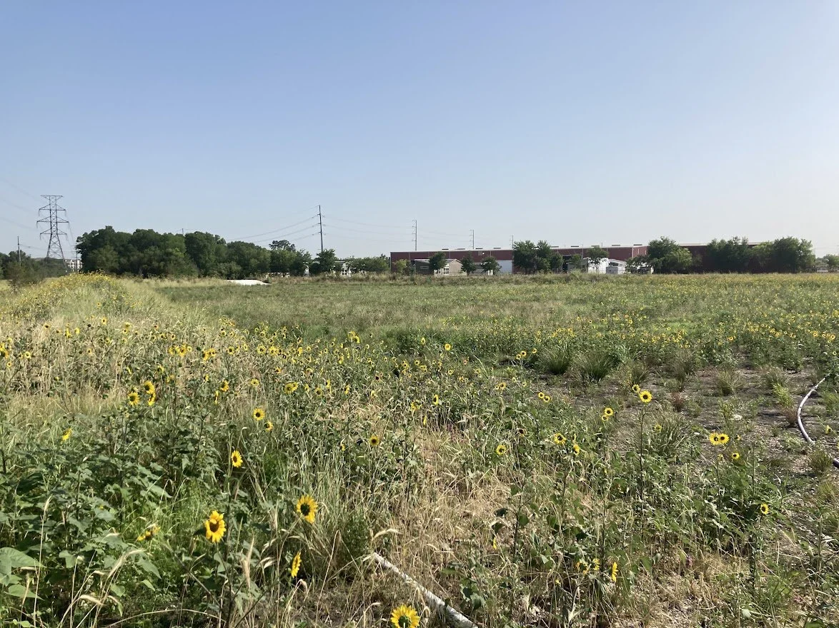marshalling yard prairie.JPG