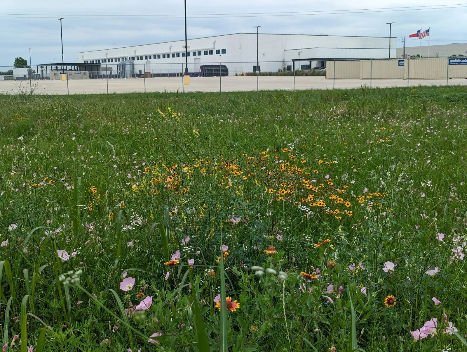 PXL_20240423_211619459.jpg