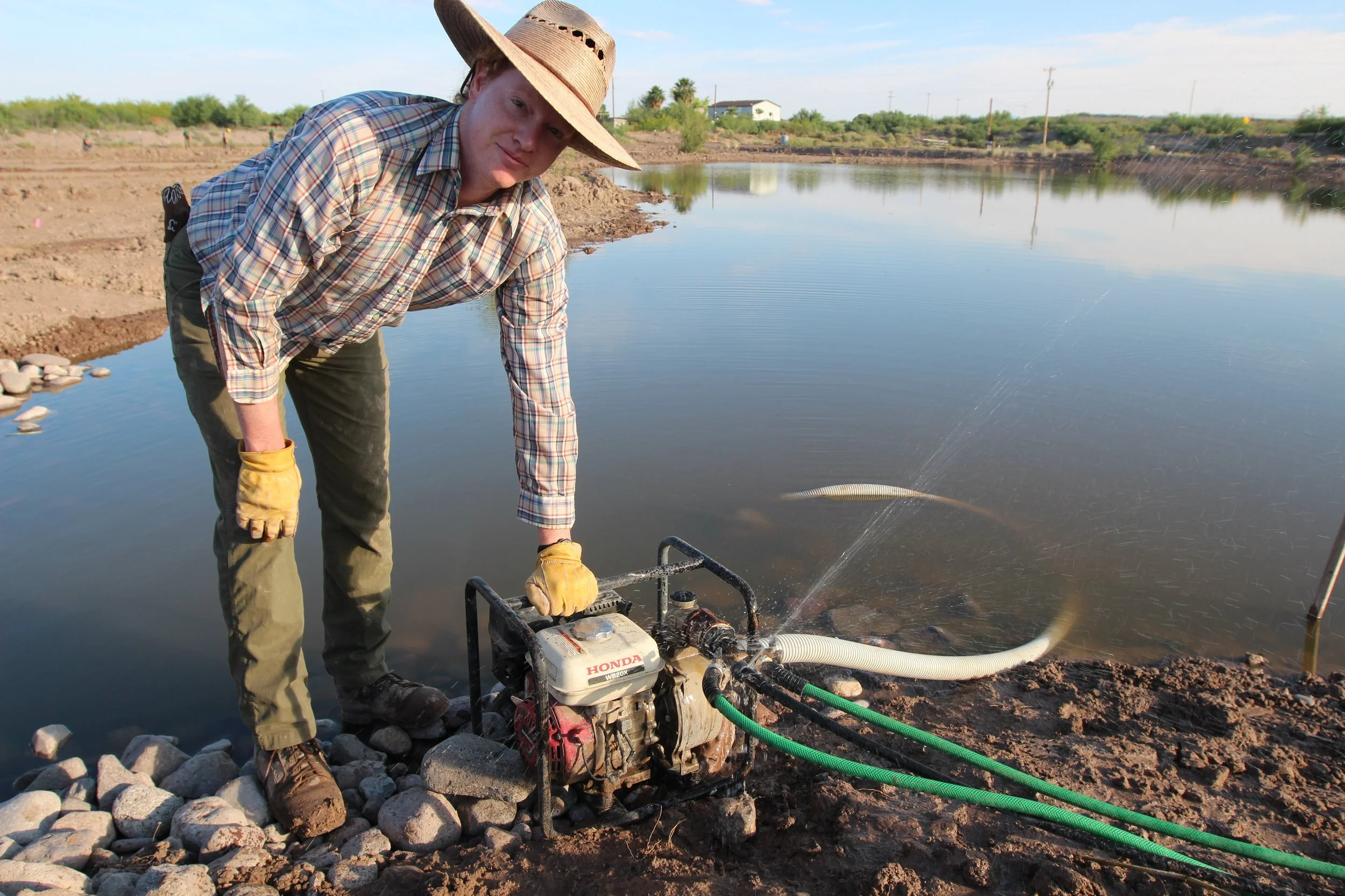 4_wetland_lorne_matalon.jpg