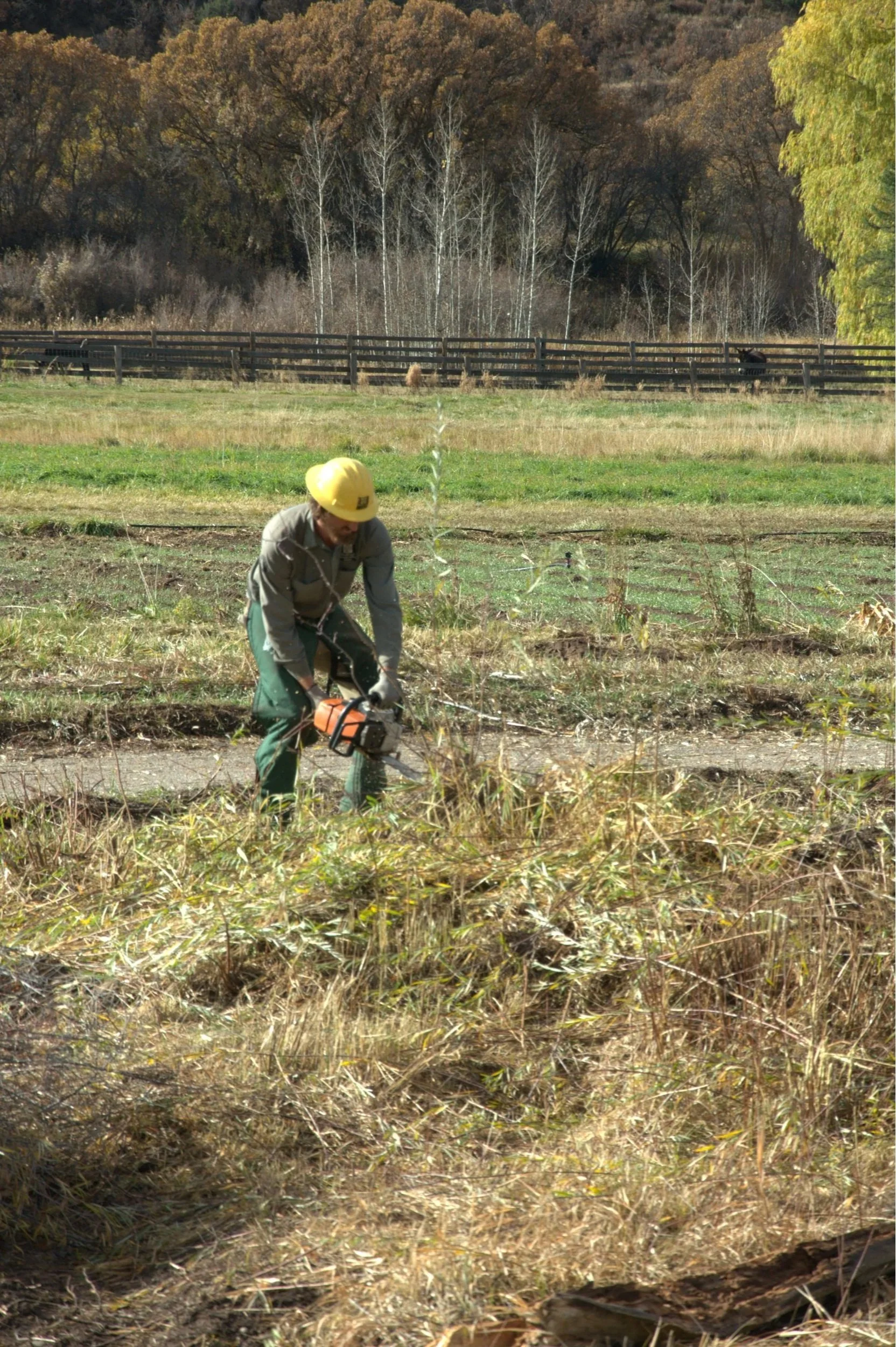 20151027_5065.jpg